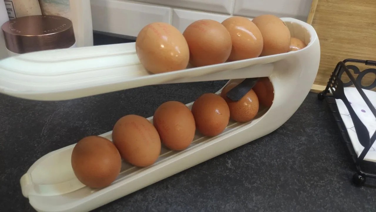 EGG