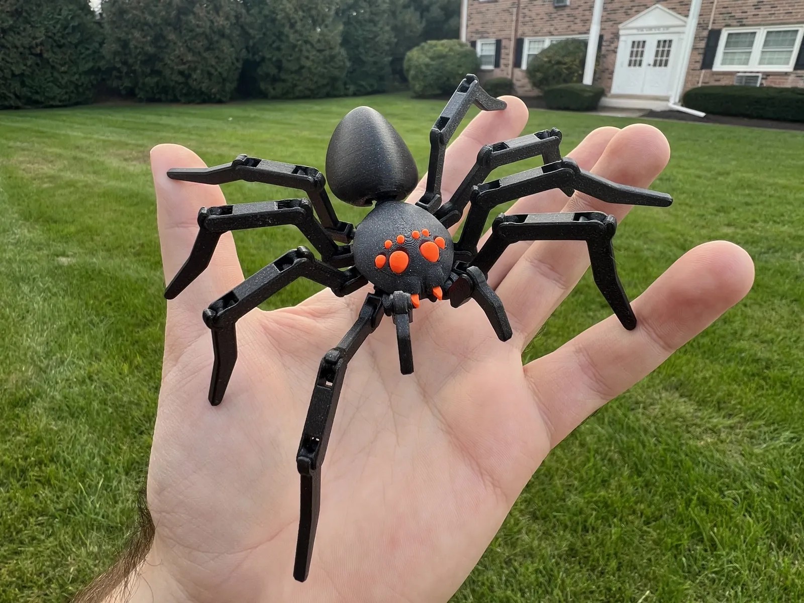 SPIDER