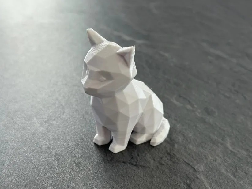 LOW CAT