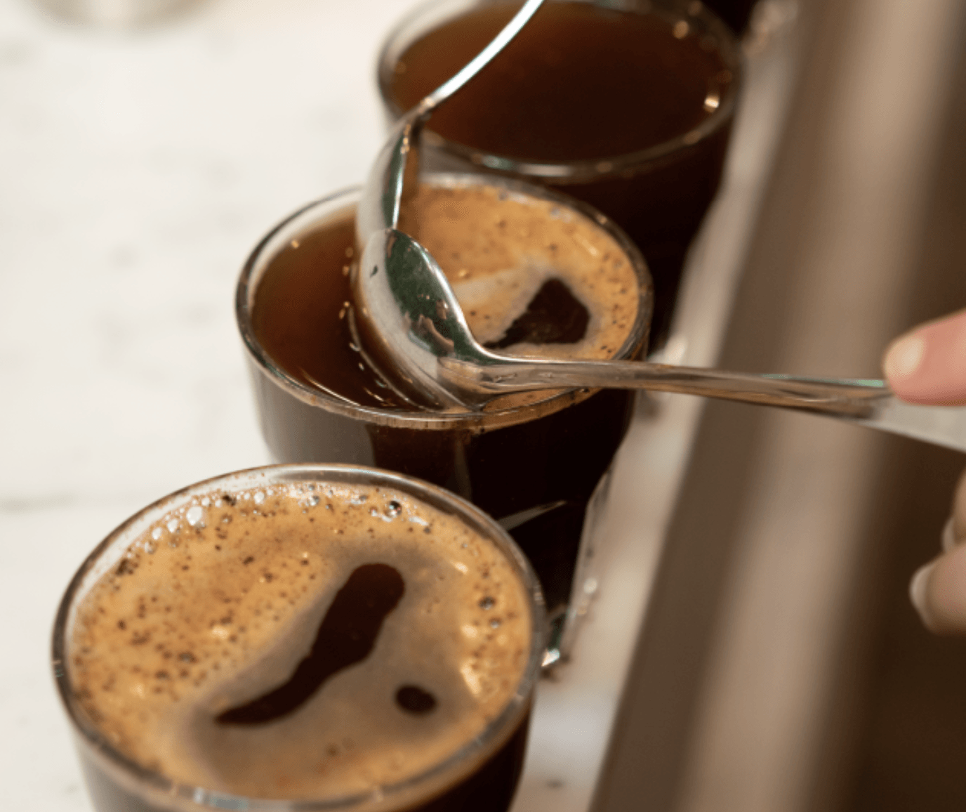 KAHVE TADIMI (CUPPING) NASIL YAPILIR ?