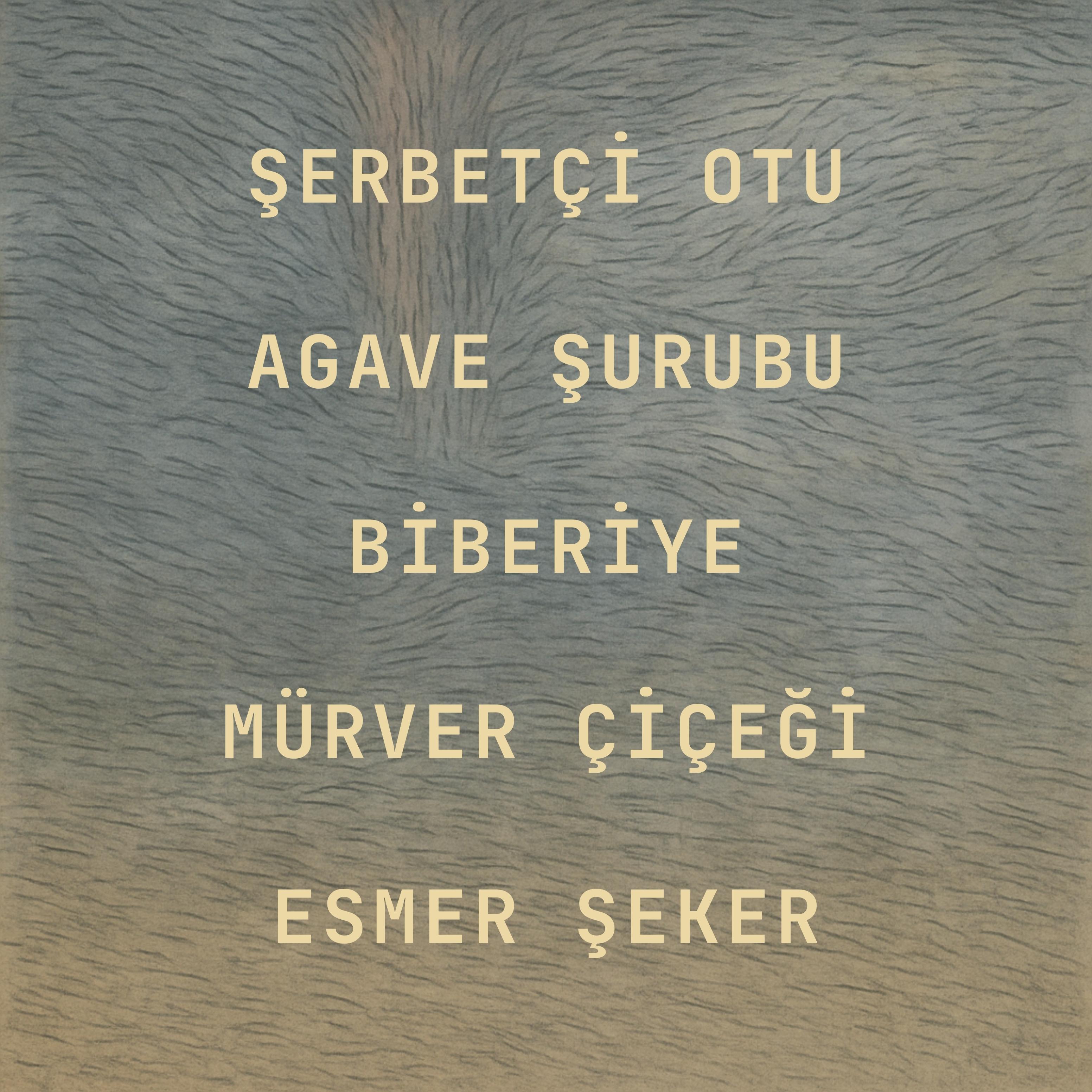 Ethiopia Teku Shaqu Kurse