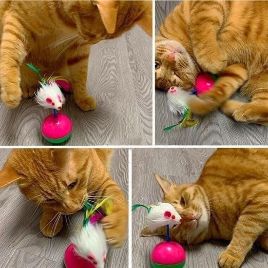 OLLEVRA Kedi Oyun Topu Tüylü Fareli Hacı Yatmaz Eğitici Yavru Kedi Fare Kovalama Oyuncağı