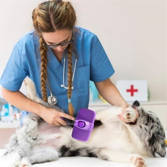 OLLEVRA Otomatik Temizlenebilen Tuşlu Pratik Kedi Köpek Tüy Toplama Fırçası