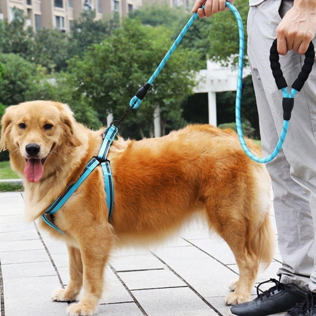 OLLEVRA Reflektörlü Fosforlu Köpek Gezdirme Halatı Tasma Kayışı Metal Kancalı 130 cm