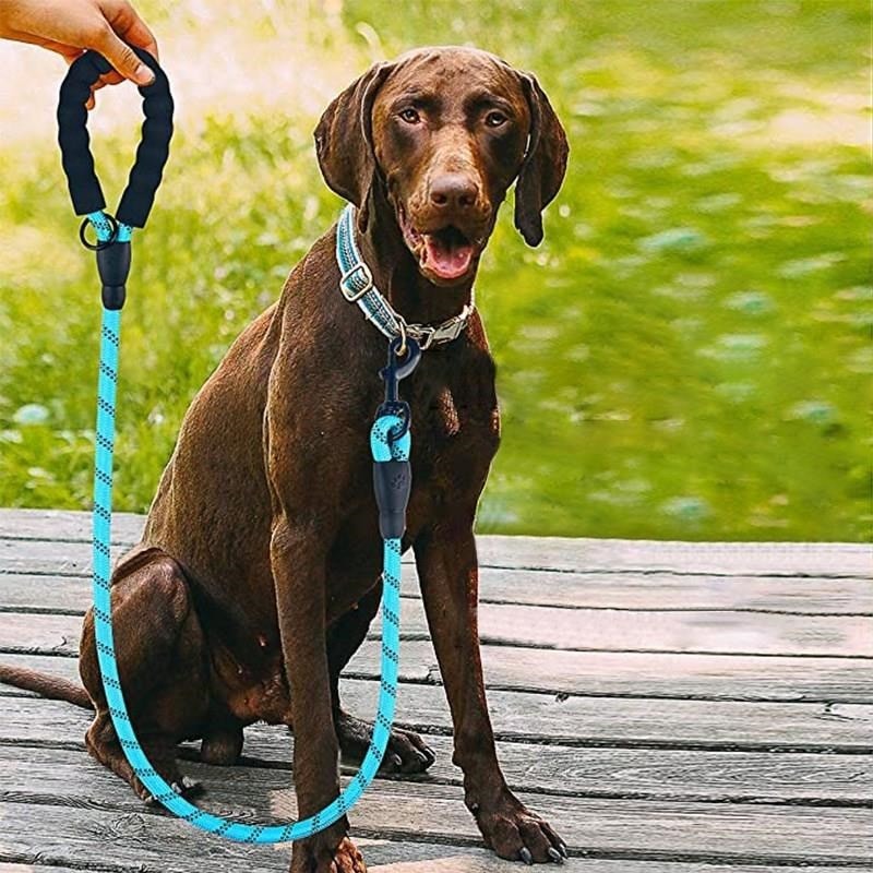 OLLEVRA Reflektörlü Fosforlu Köpek Gezdirme Halatı Tasma Kayışı Metal Kancalı 130 cm