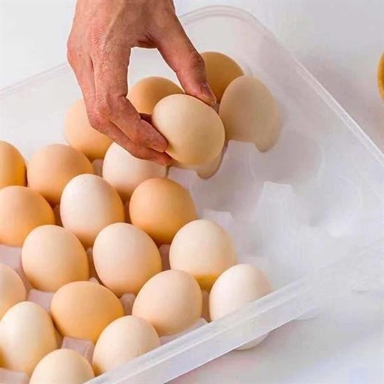 OLLEVRA 30lu Yumurta Saklama Kabı