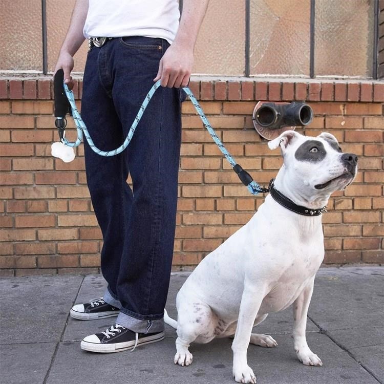 OLLEVRA Reflektörlü Fosforlu Köpek Gezdirme Halatı Tasma Kayışı Metal Kancalı 130 cm