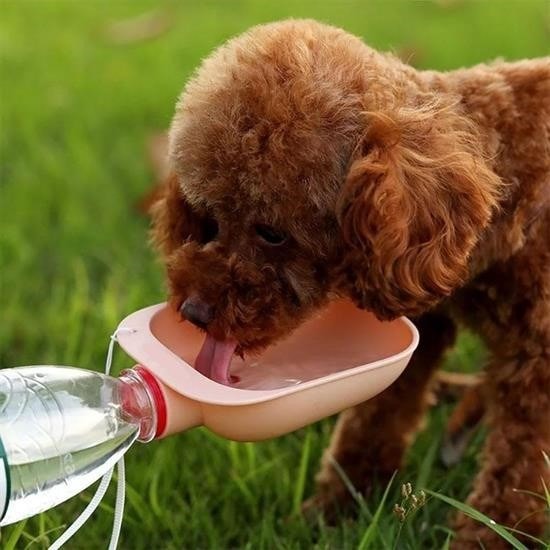 OLLEVRA Evcil Hayvan Plastik Yıkanabilir Taşınabilir Su Şişesi Bağlantılı Su Kabı