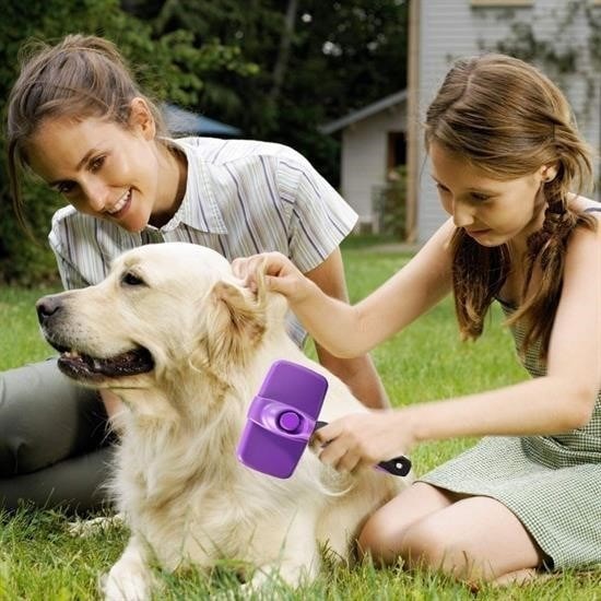 OLLEVRA Otomatik Temizlenebilen Tuşlu Pratik Kedi Köpek Tüy Toplama Fırçası