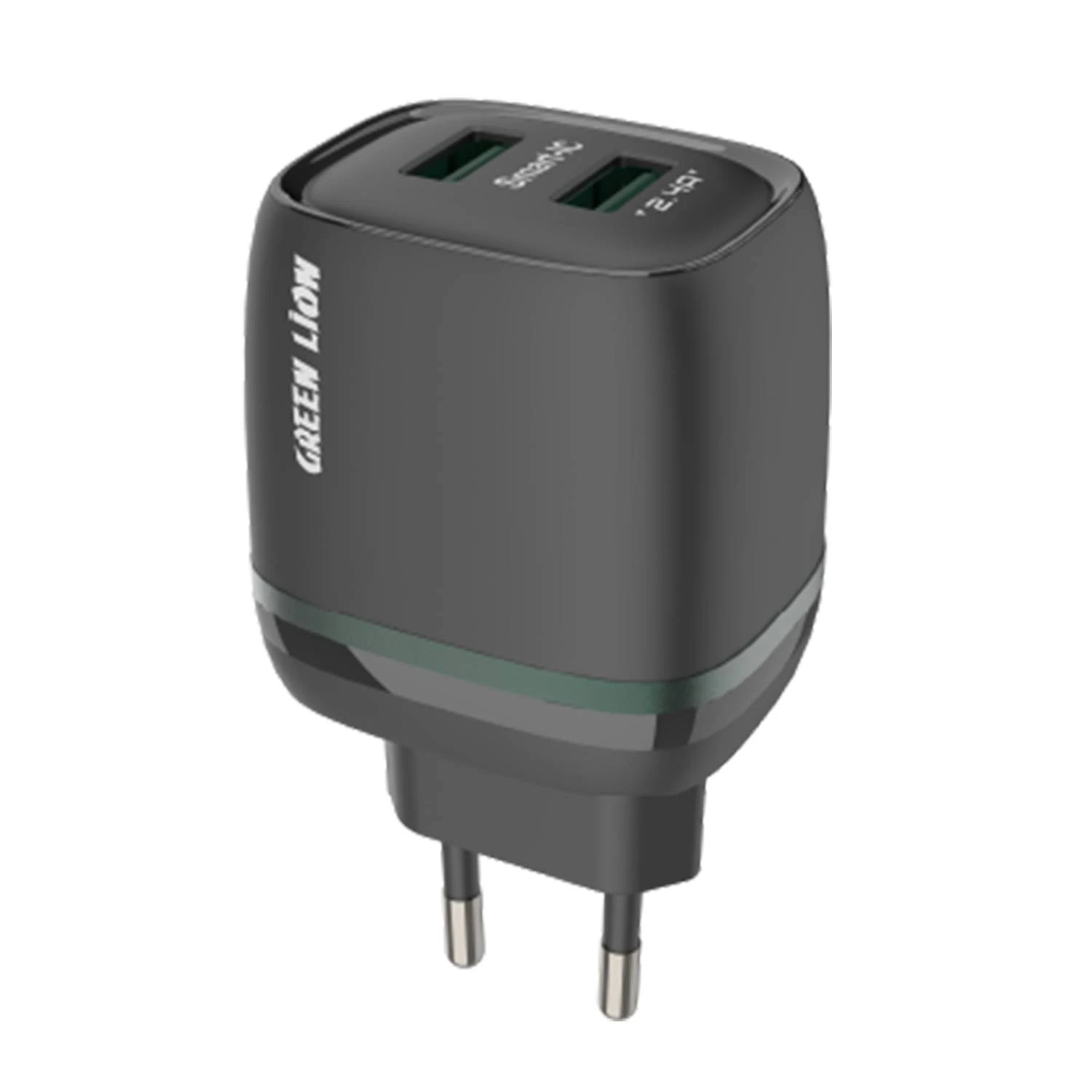 12W Çift USB Girişli Hızlı Şarj Başlığı, 2.4A, Akıllı IC Koruma, 1 Metre Type-C Kablo Dahil