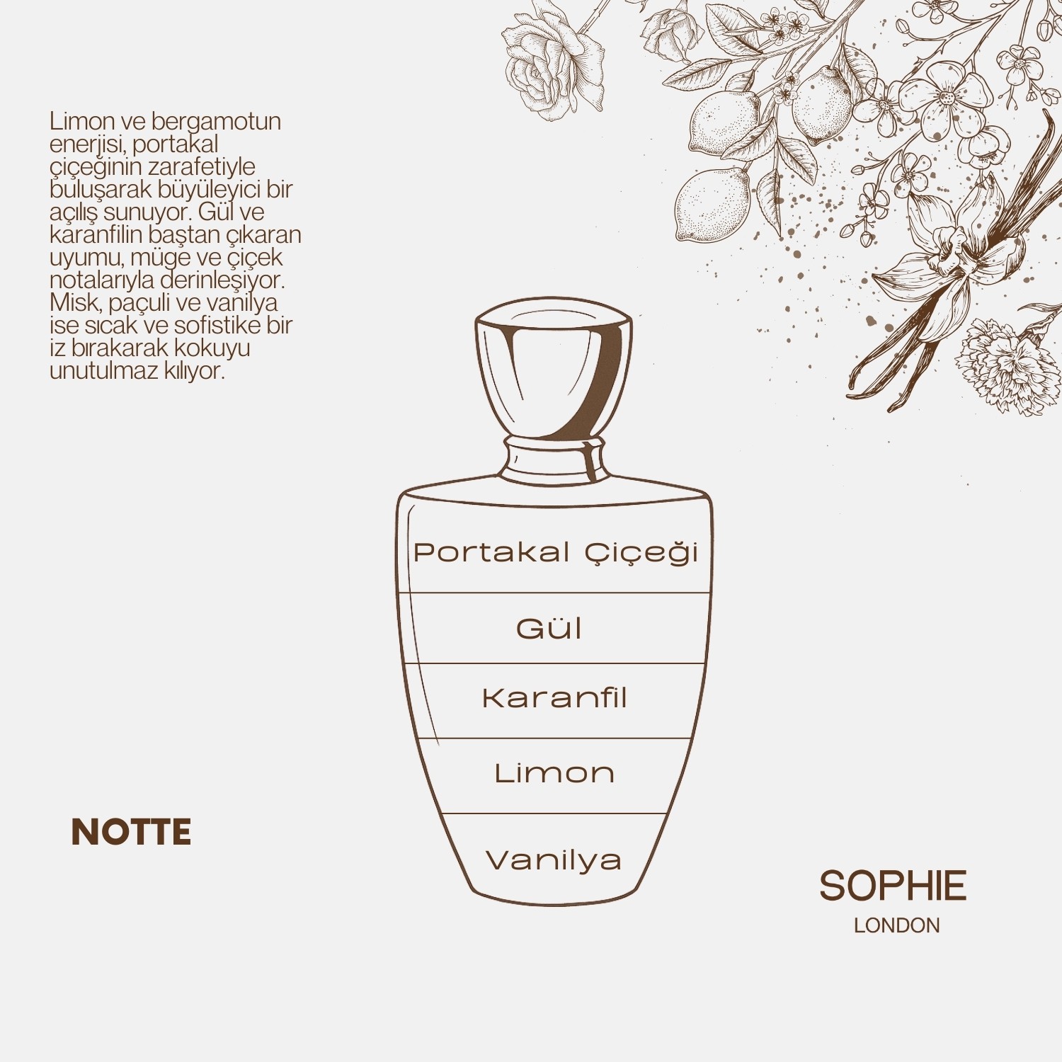 Notte Eau De Kadın Parfum 50ML