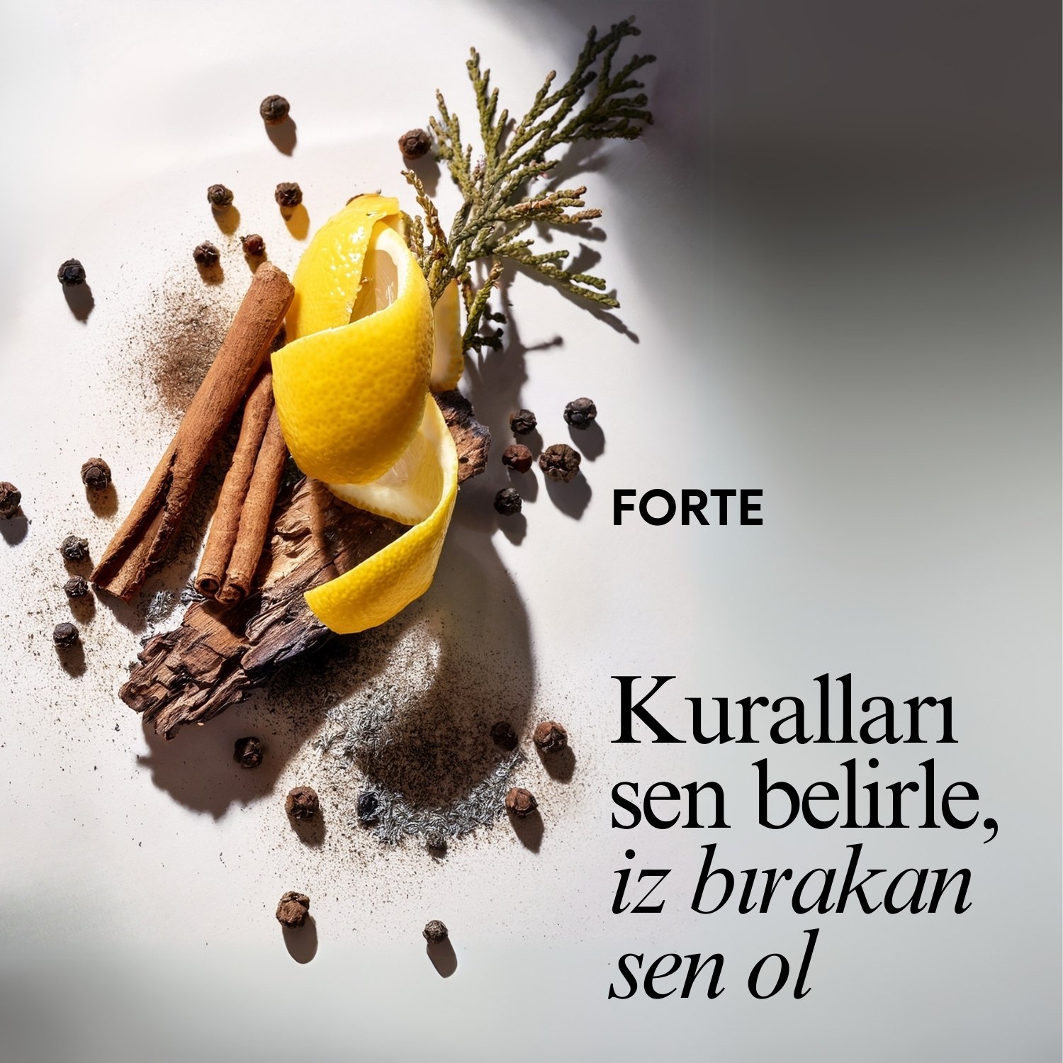 Forte Eau De Erkek Parfum 100ML