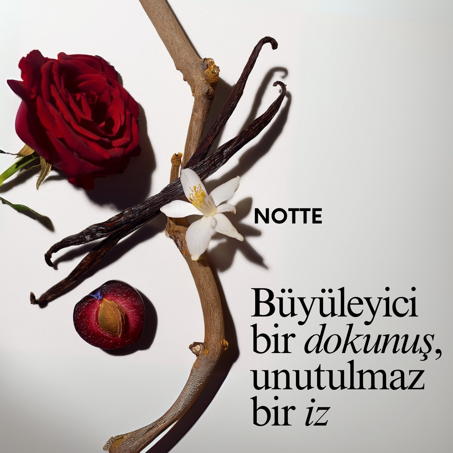 Notte Eau De Kadın Parfum 50ML