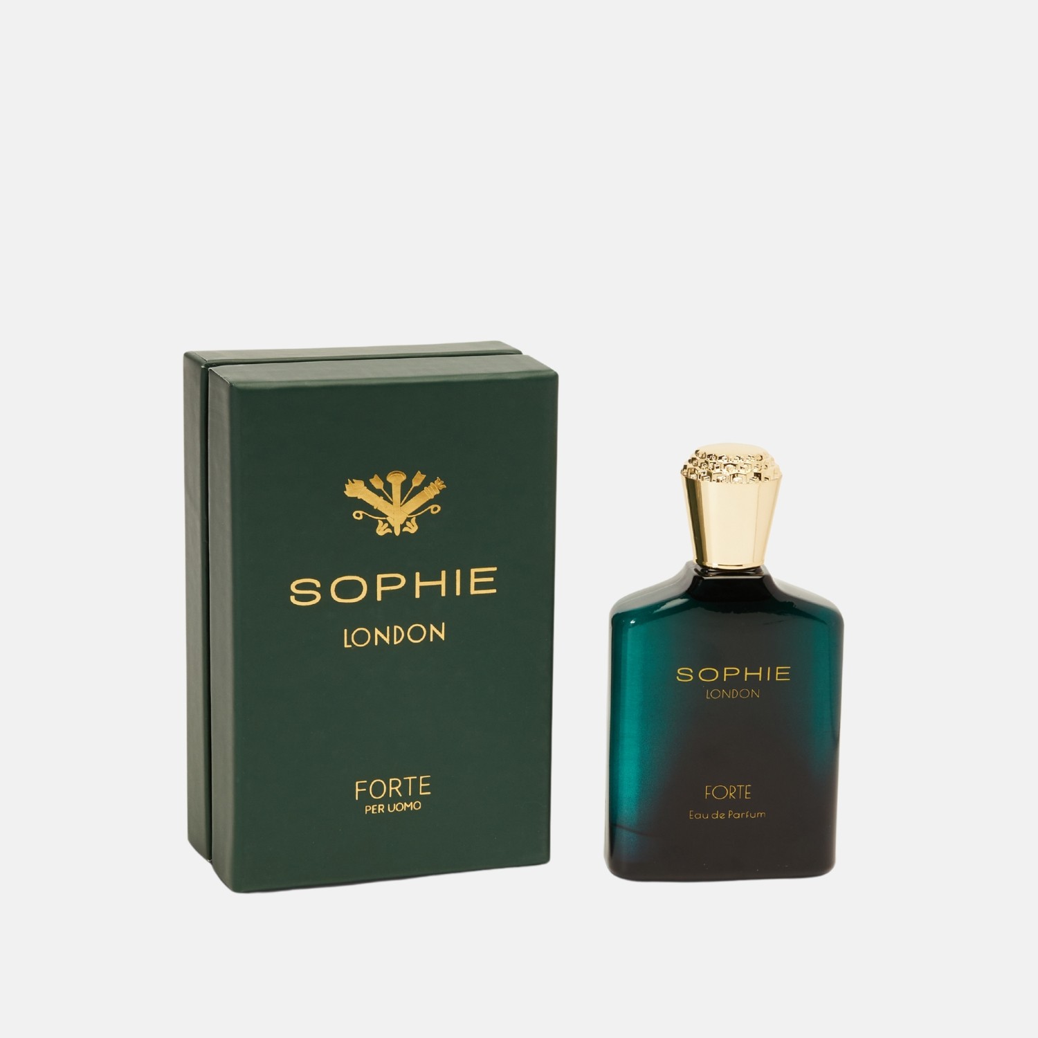 Forte Eau De Erkek Parfum 100ML
