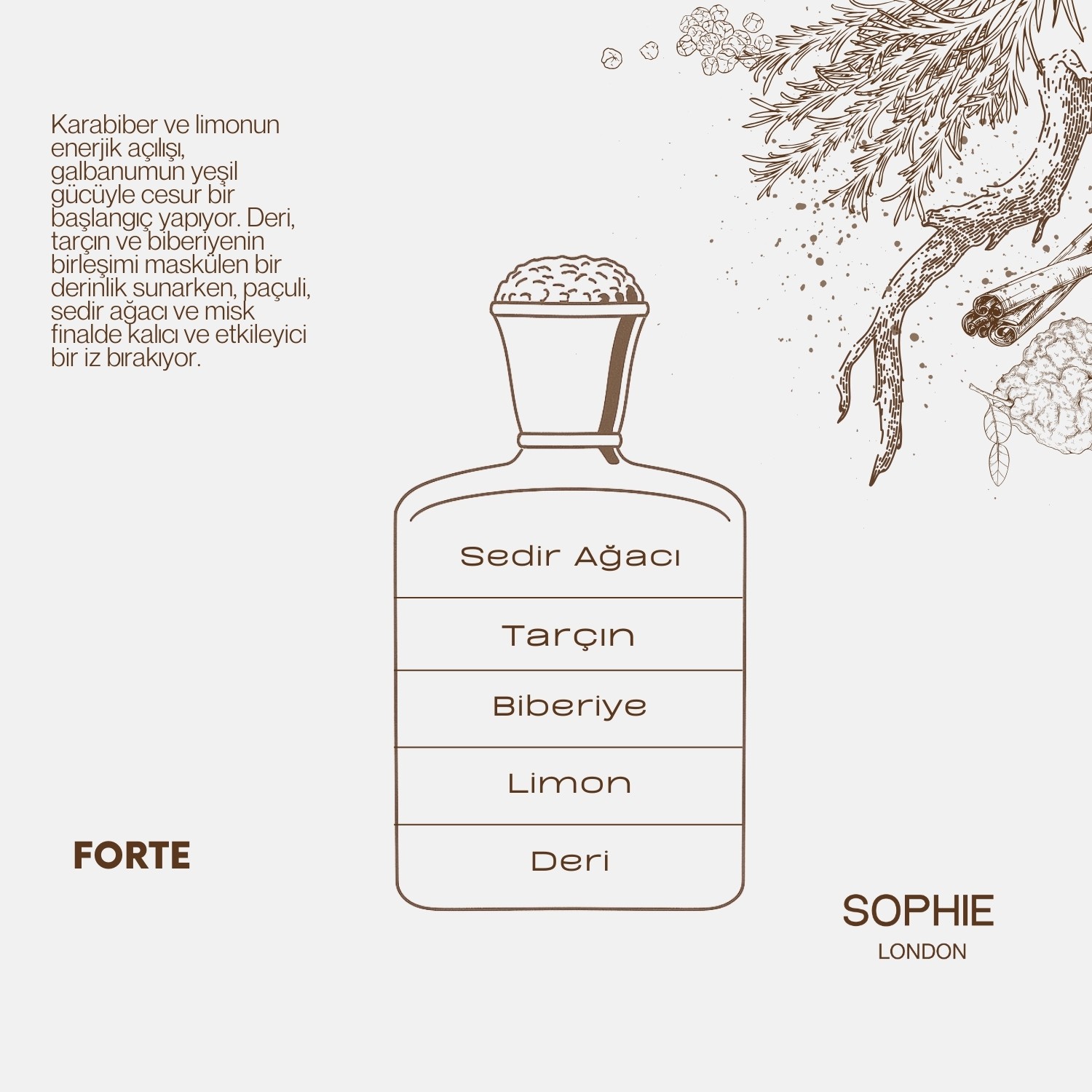 Forte Eau De Erkek Parfum 100ML