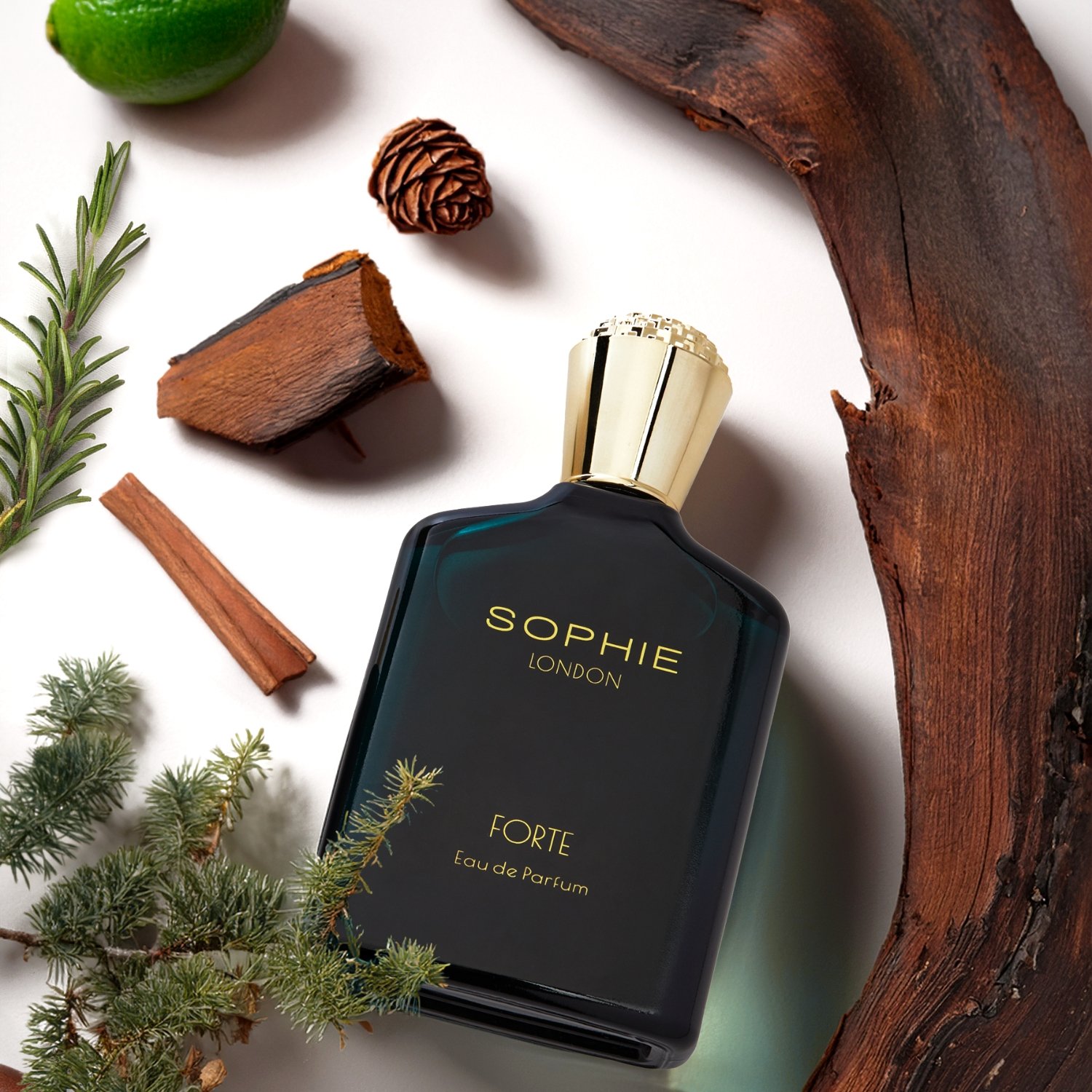 Forte Eau De Erkek Parfum 100ML