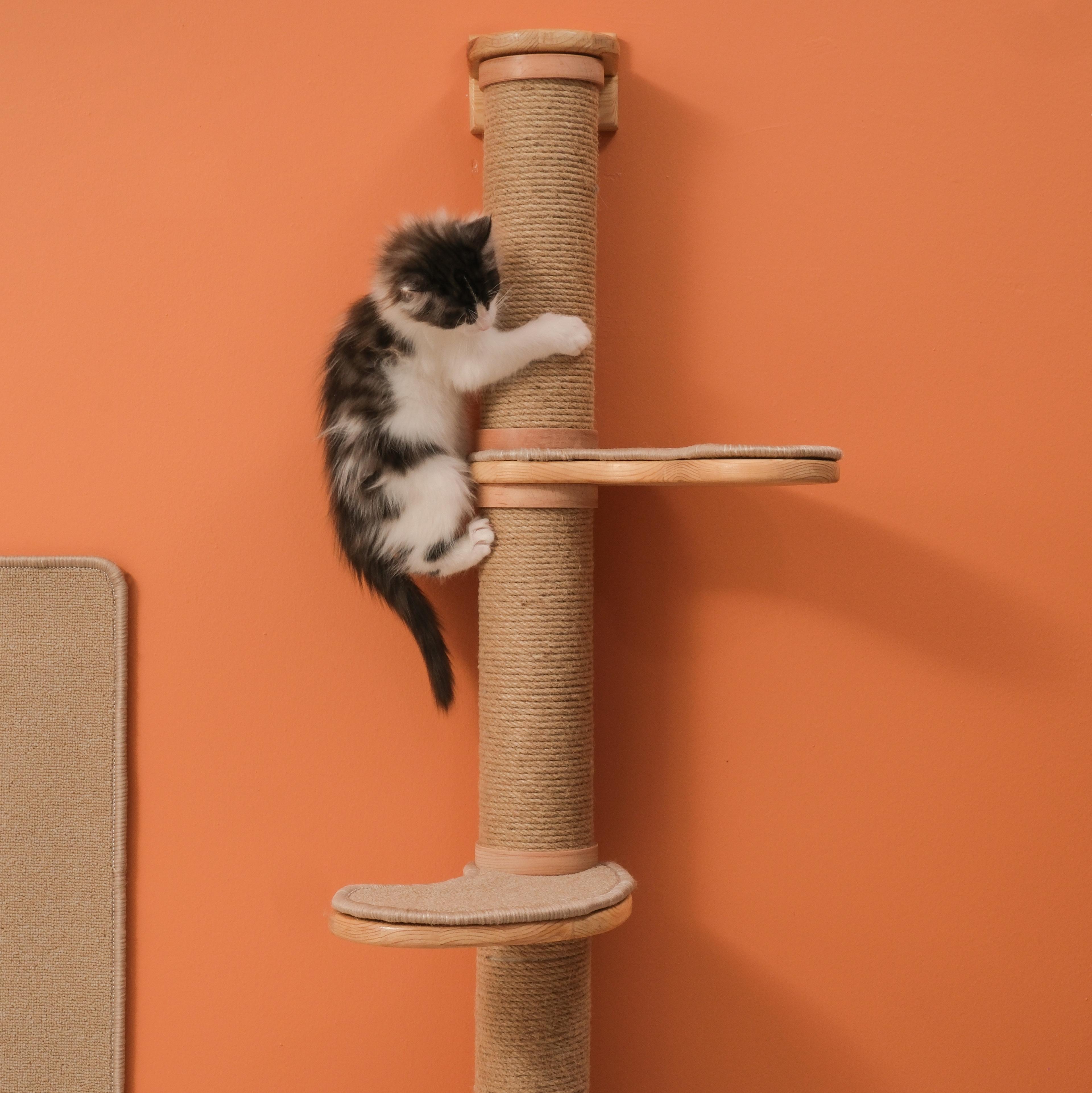 KEDİPARKUR SET - Duvara Monte Kedi Oyun Alanı - 10 Parça