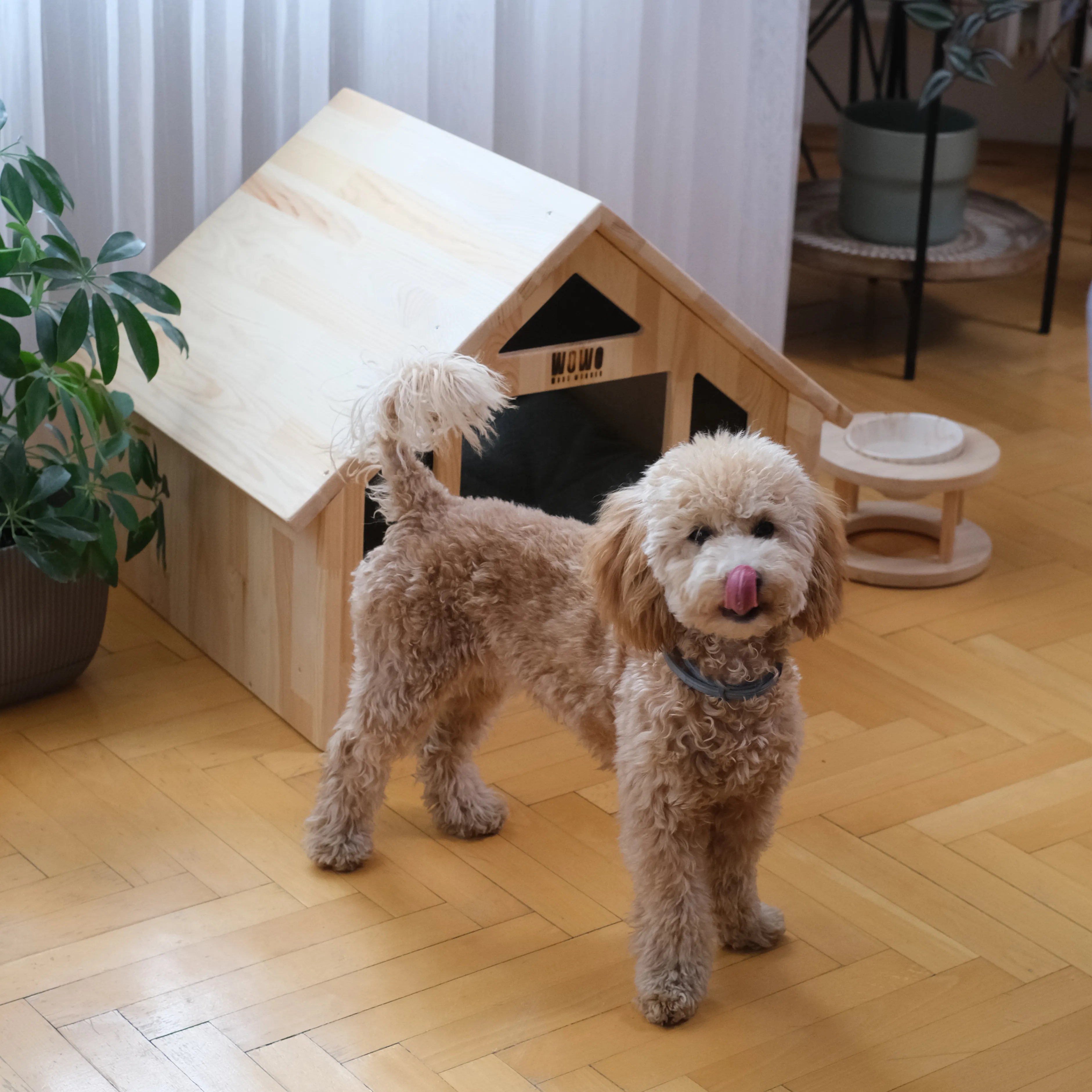 NIVA HOUSE | Kedi ve Küçük Irklar için Özel Tasarım Bungalov Ev