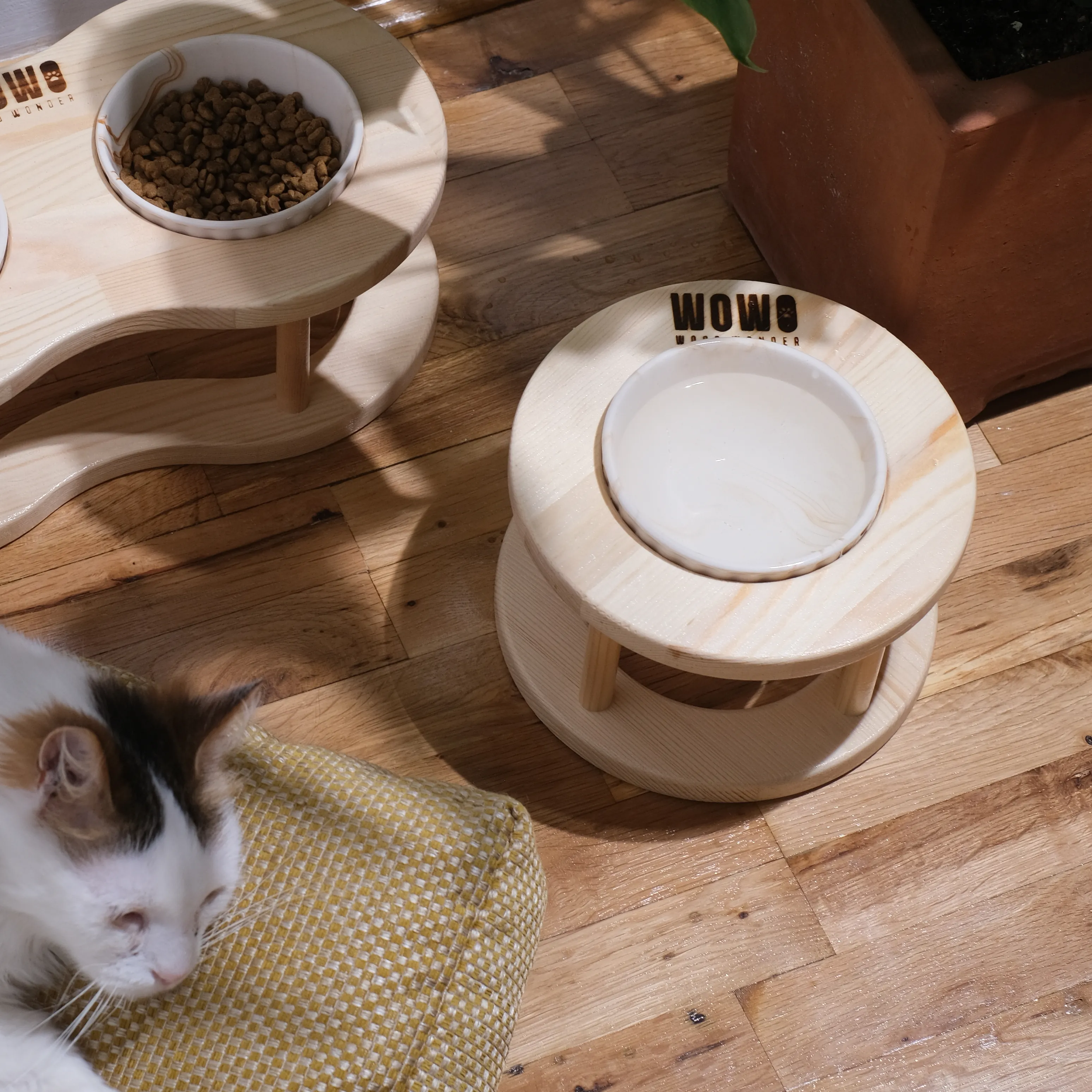 ORBIT | Tekli Oval Tasarım Mama Kabı