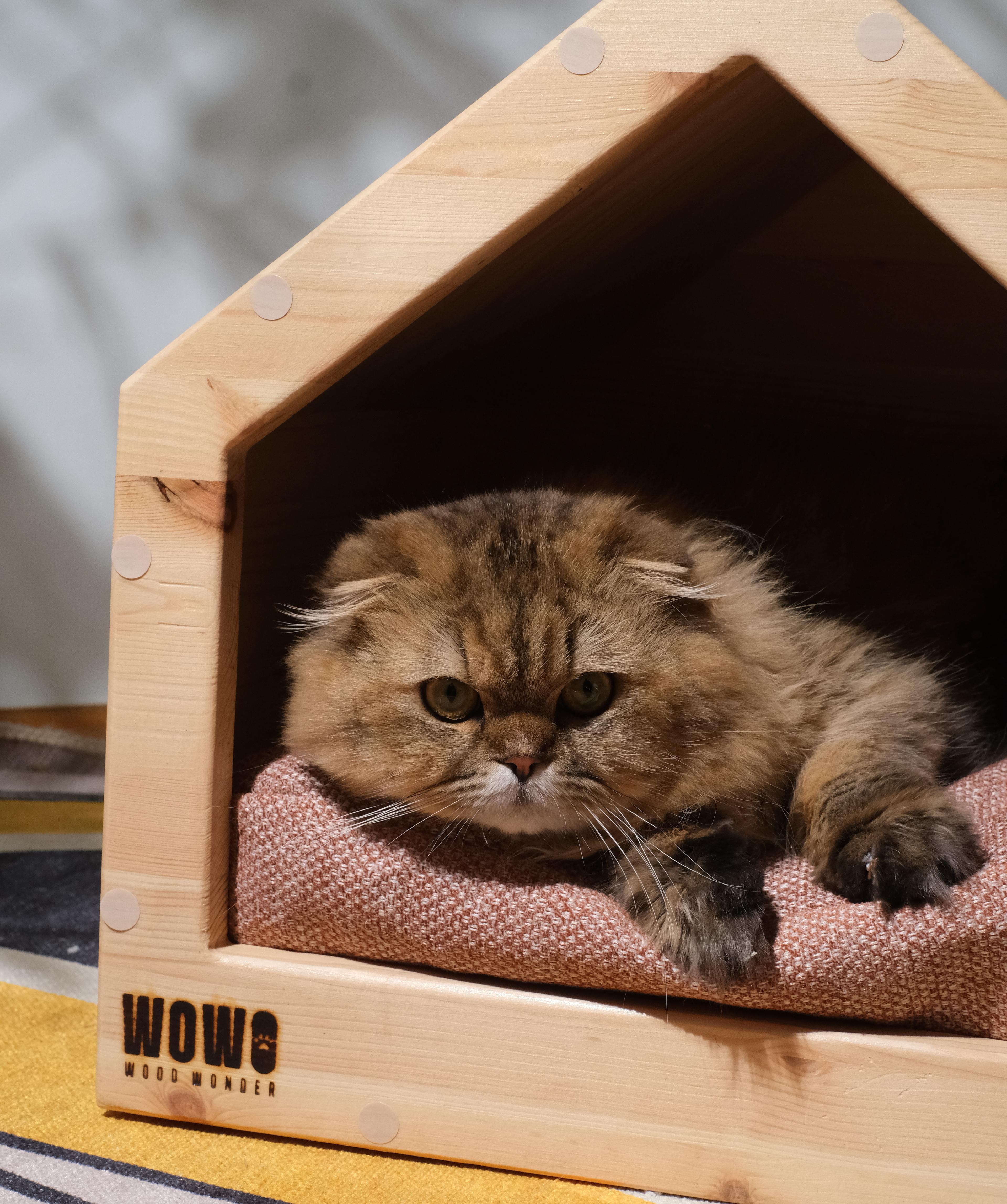 ARBİNA Ahşap Kedi Evi – Doğal, Kapalı ve Konforlu Tasarım