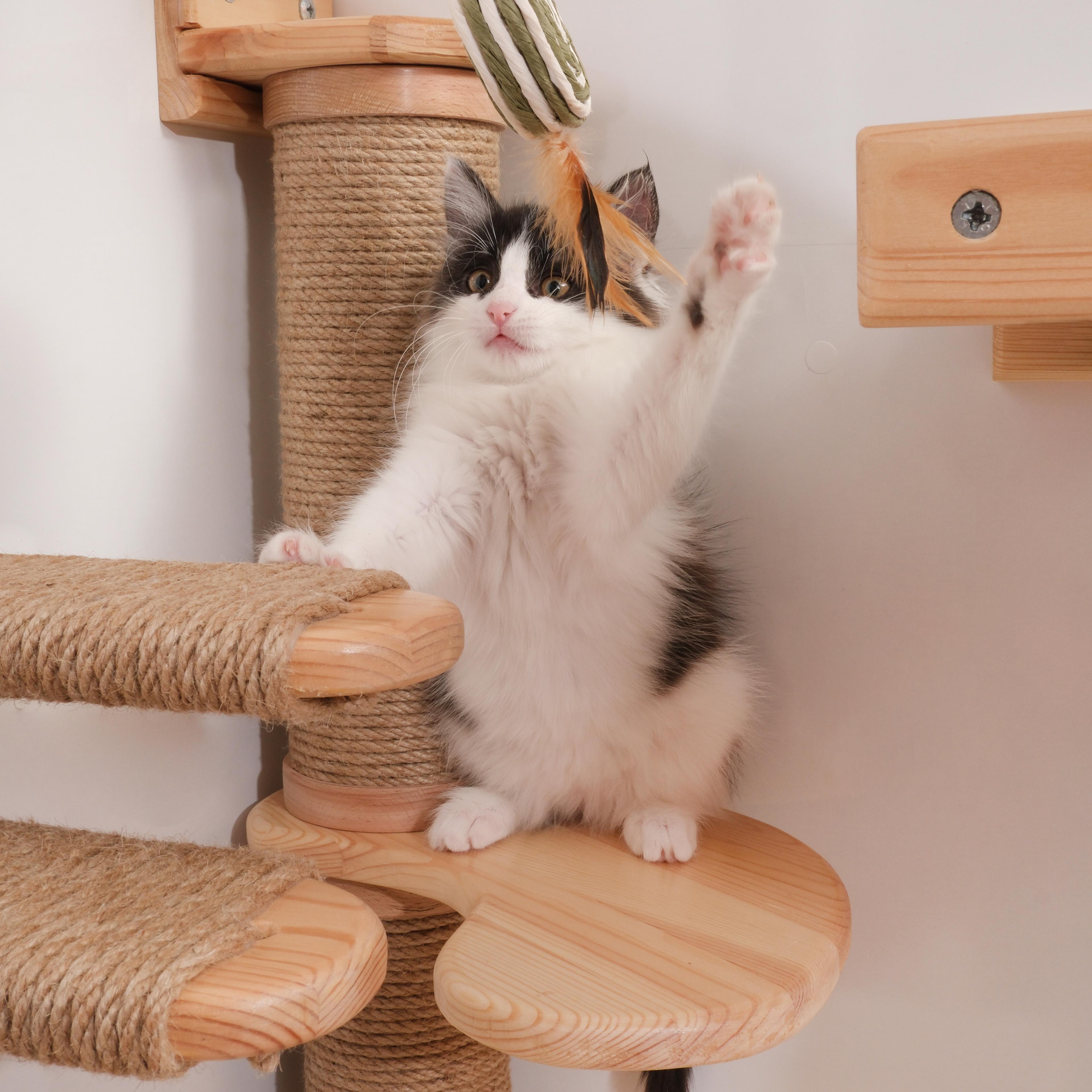 KEDİPARKUR KÖŞE TAKIMI - Duvara Monte Kedi Oyun Alanı 