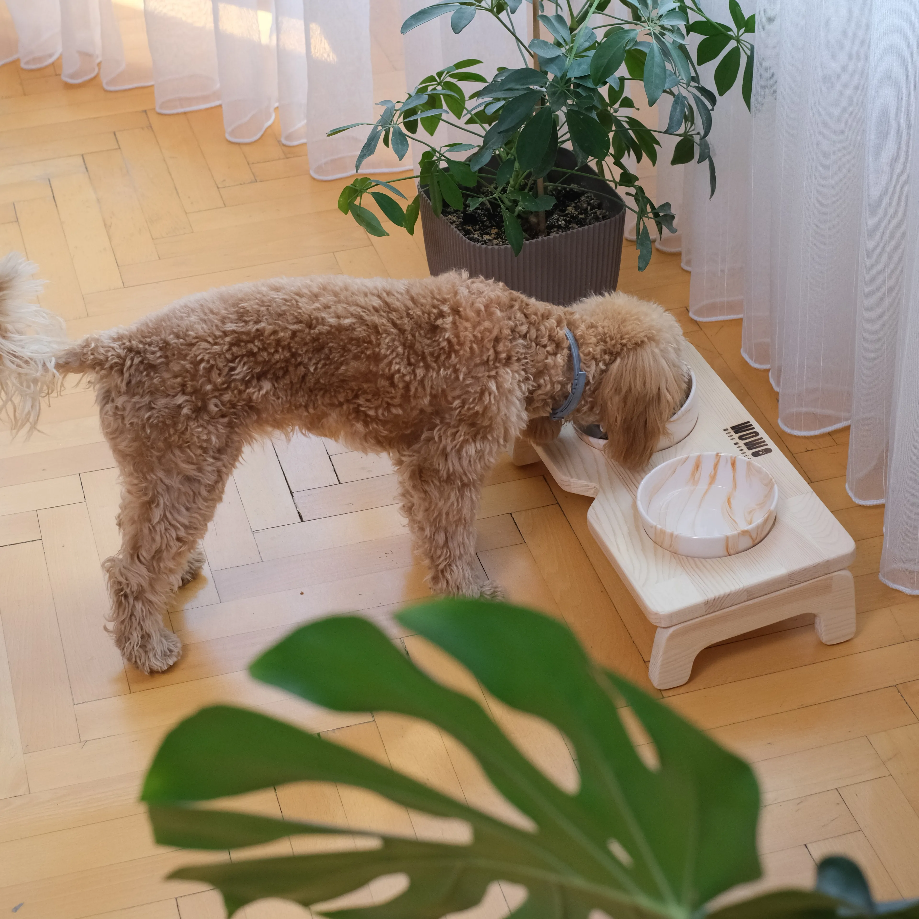 3'lü Kare Mama Kabı Seti – Tekli + İkili + Üçlü 