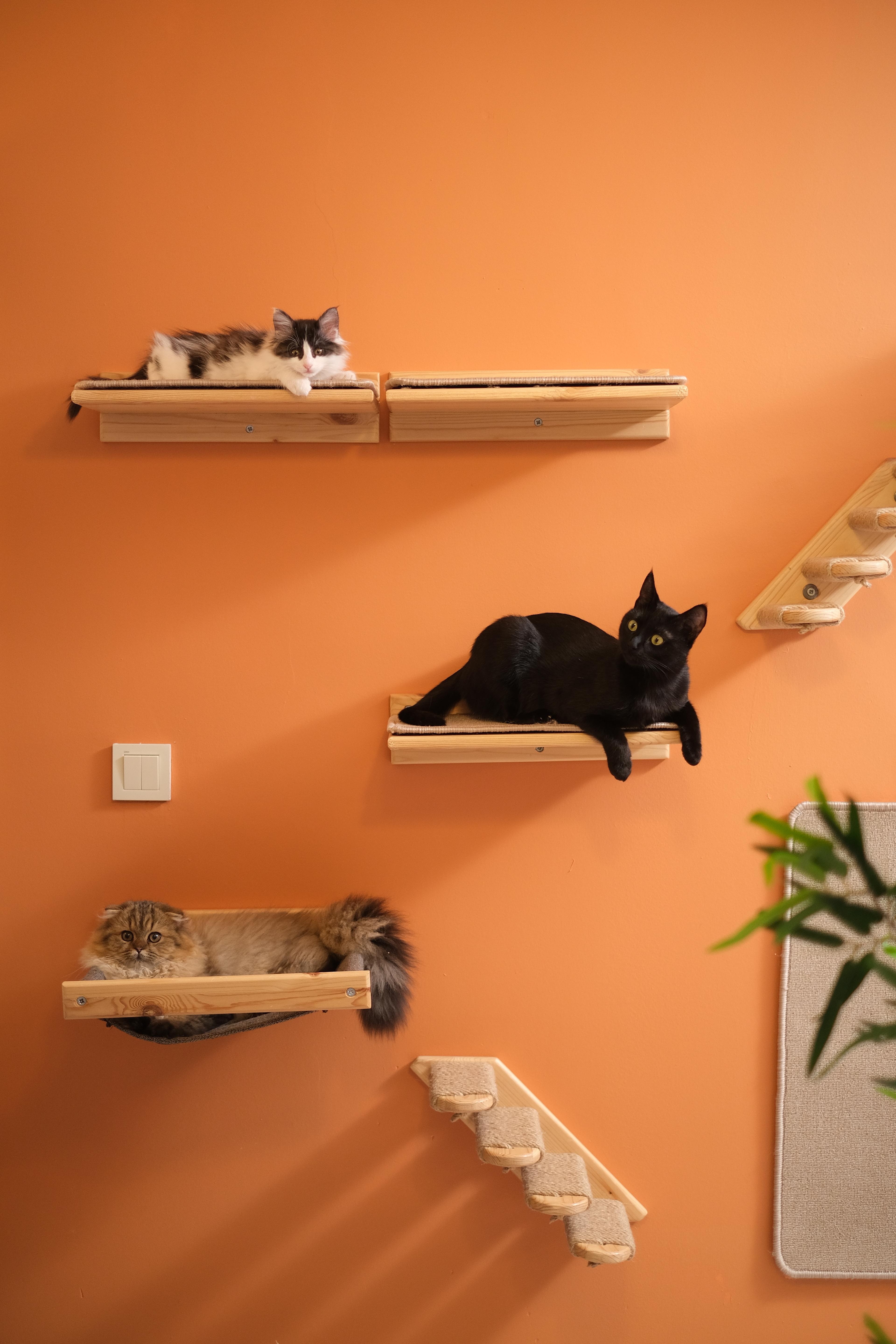 KEDİPARKUR SET - Duvara Monte Kedi Oyun Alanı - 10 Parça