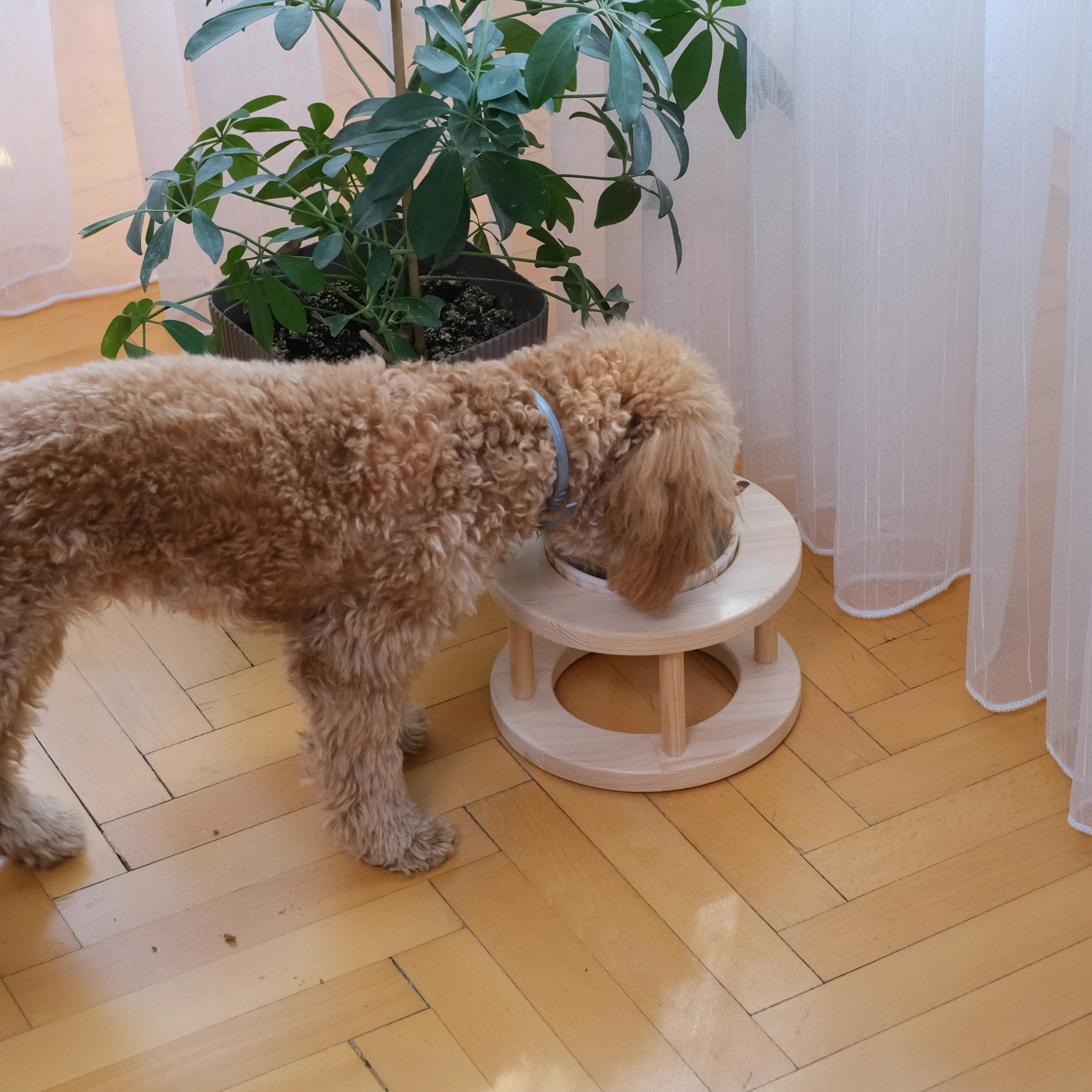 ORBIT | Tekli Oval Tasarım Mama Kabı