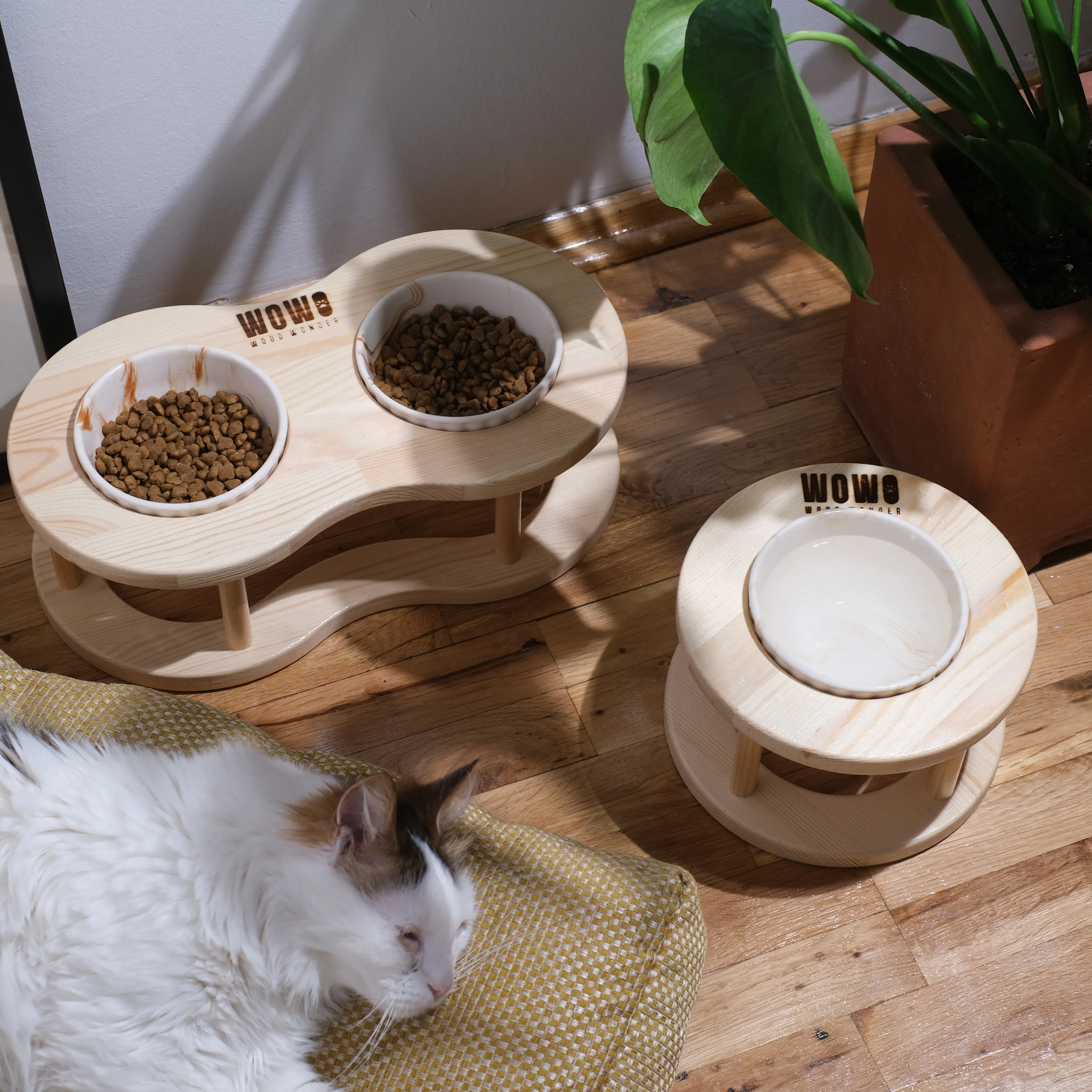 2'li Oval Set | Tekli + İkili Mama Kabı 