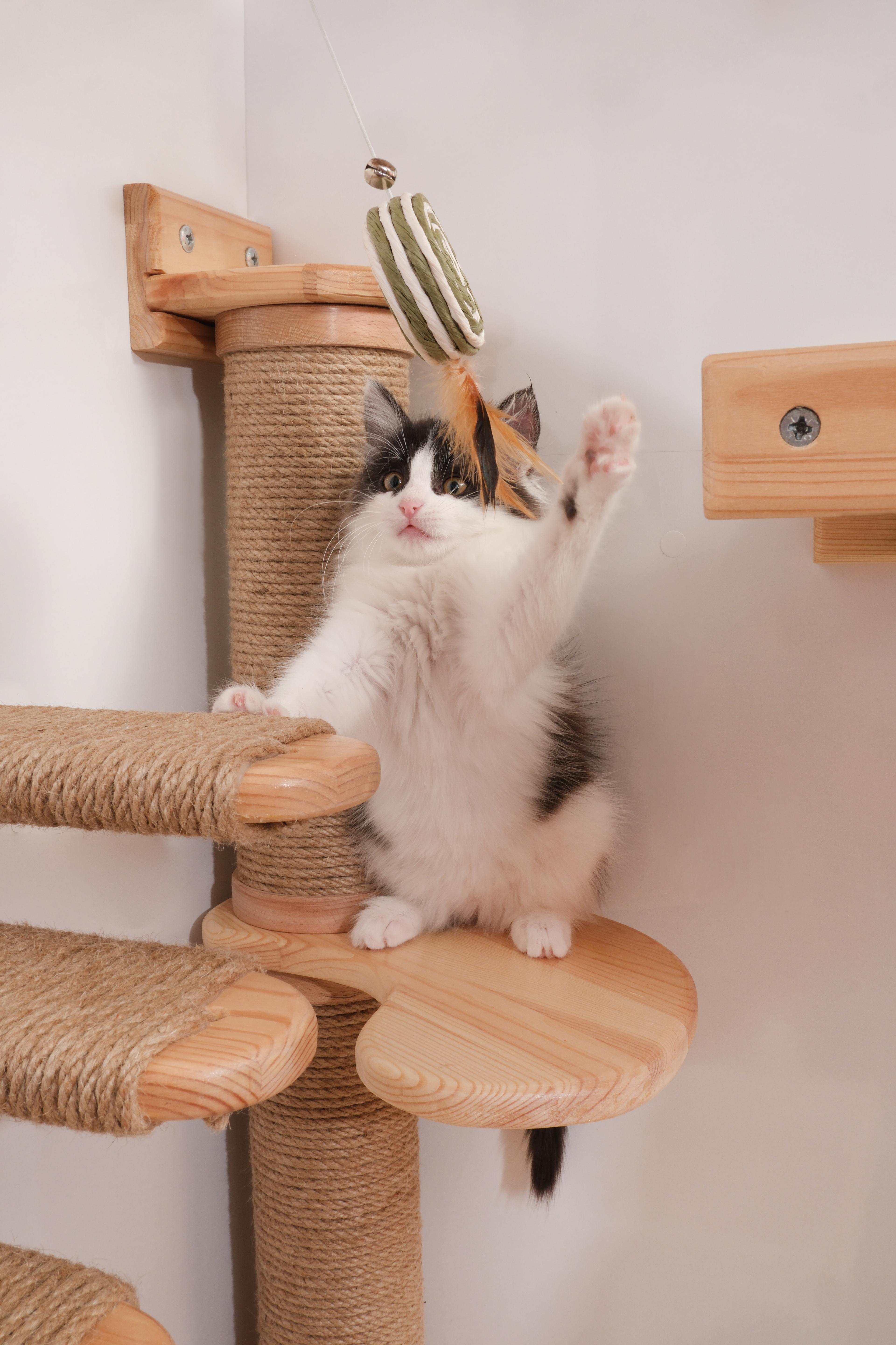 KEDİPARKUR KÖŞE TAKIMI - Duvara Monte Kedi Oyun Alanı 