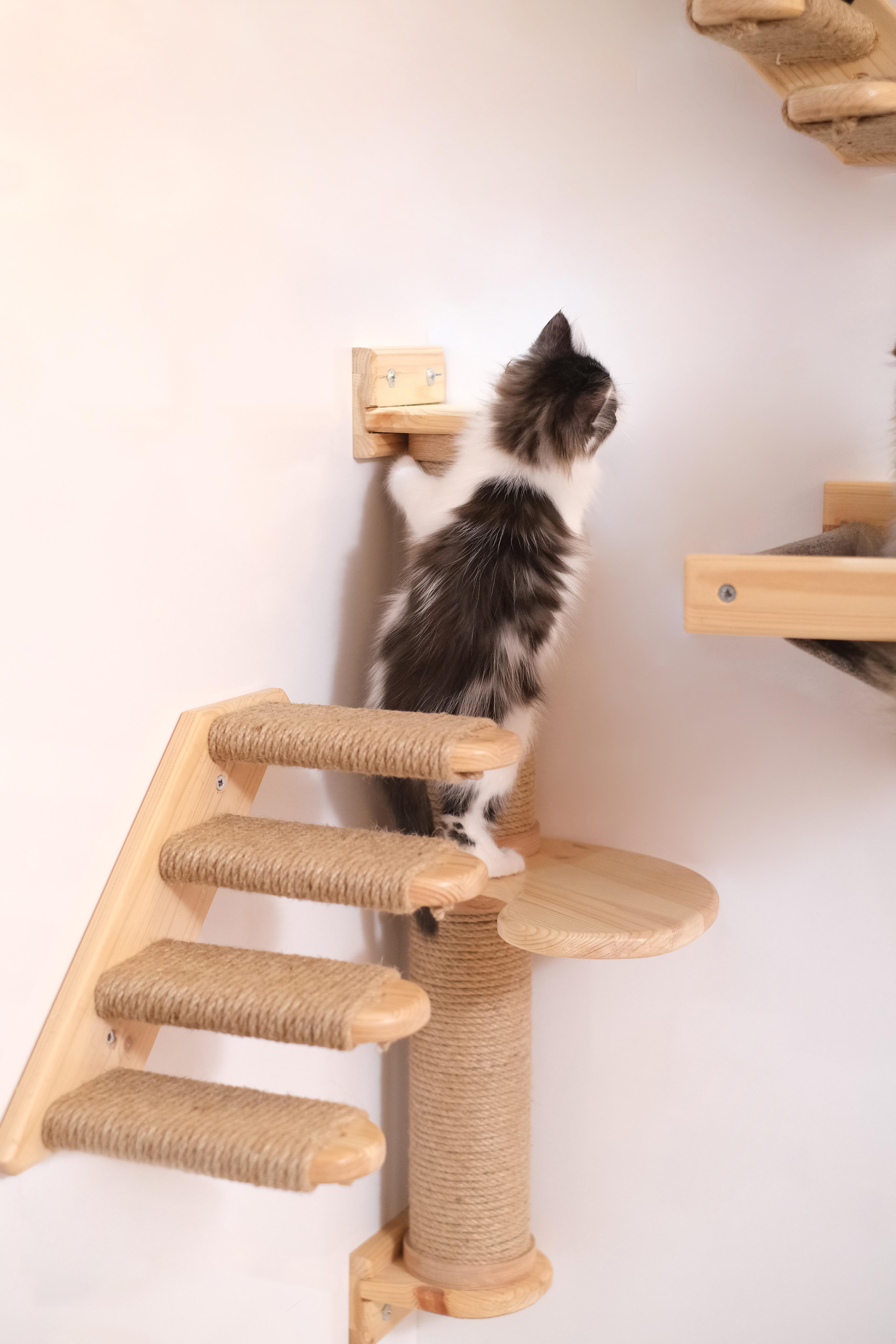 Duvara Monte Kedi Tırmalama Direği & Platform 