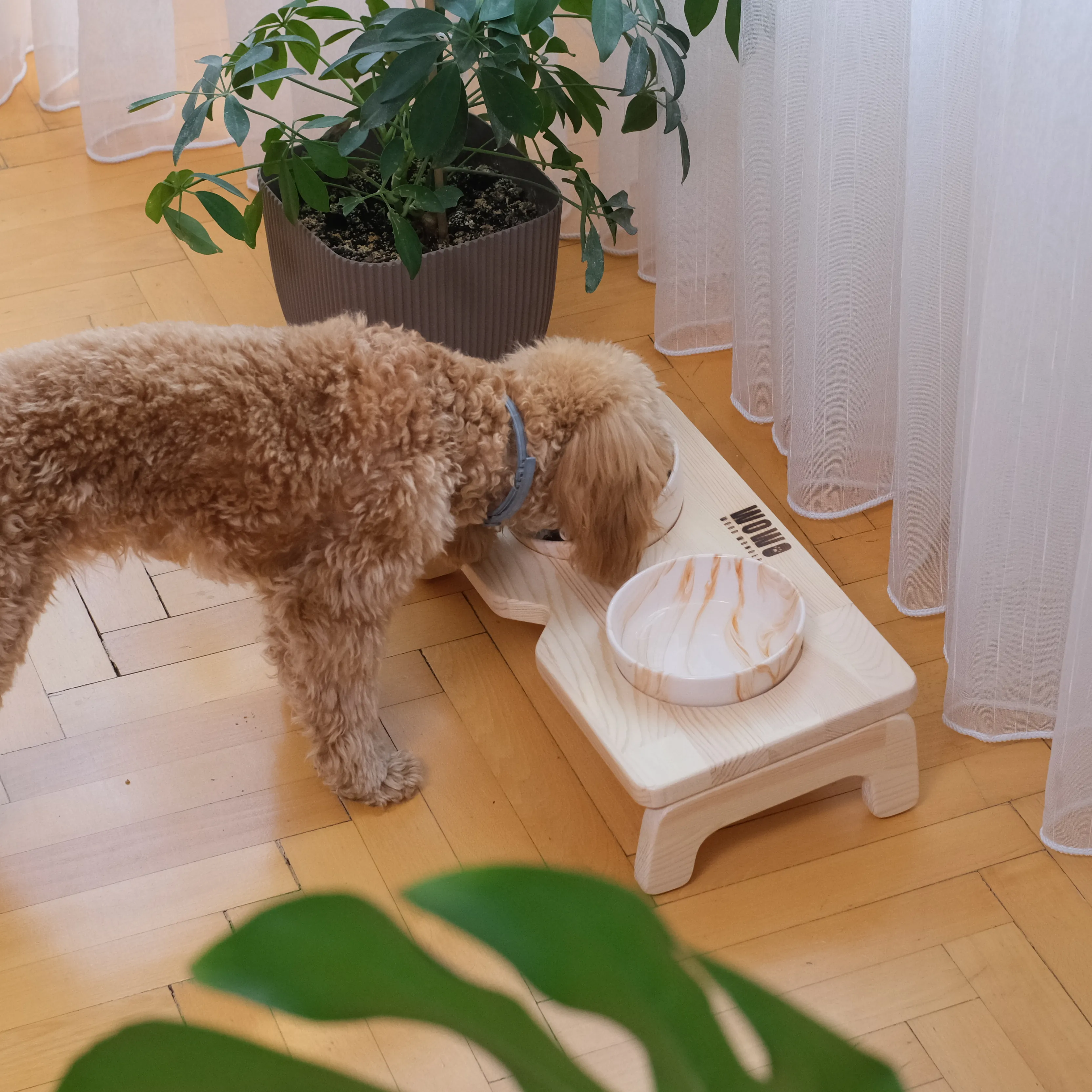 NUMA | İkili Kare Tasarım Mama Kabı