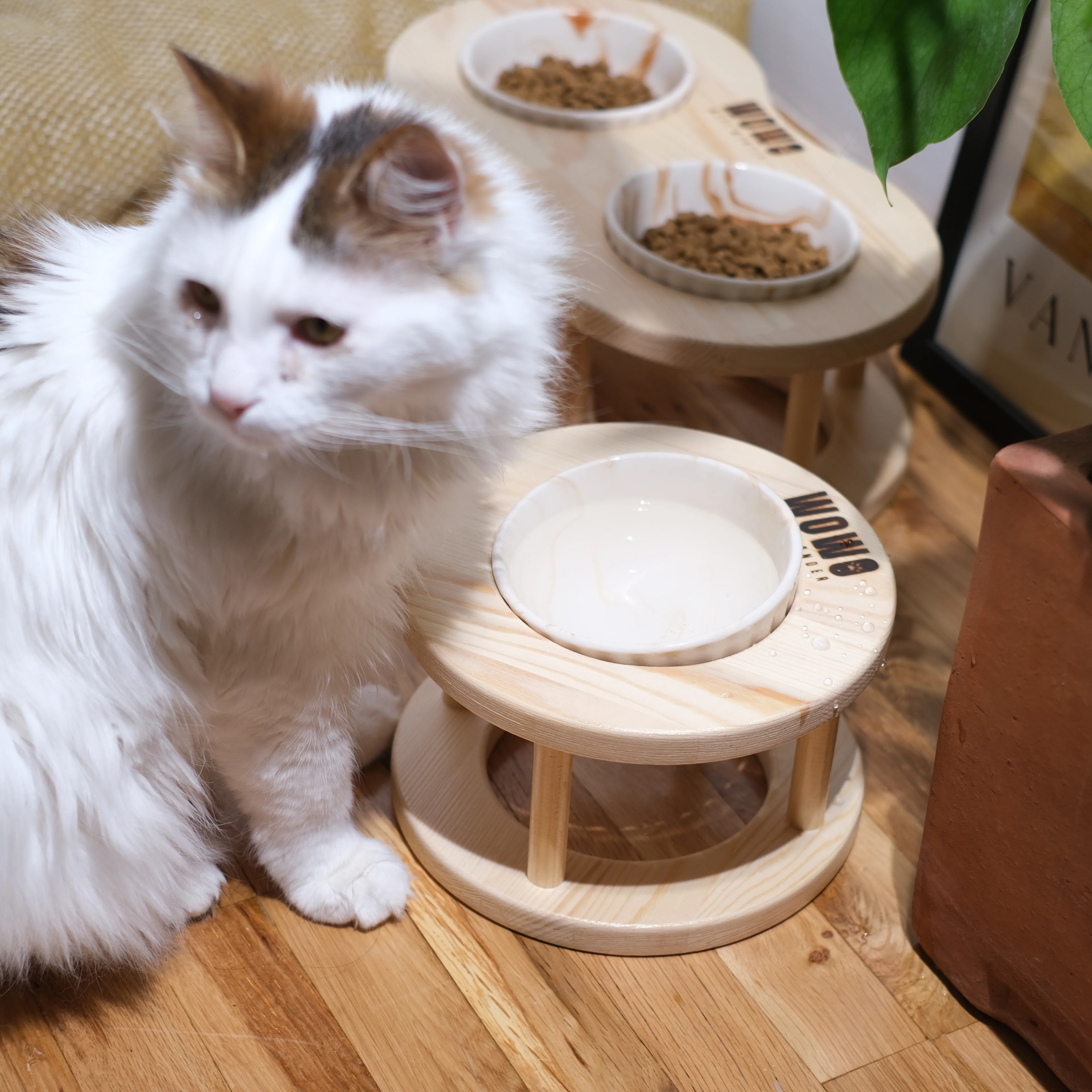 ORBIT | Tekli Oval Tasarım Mama Kabı