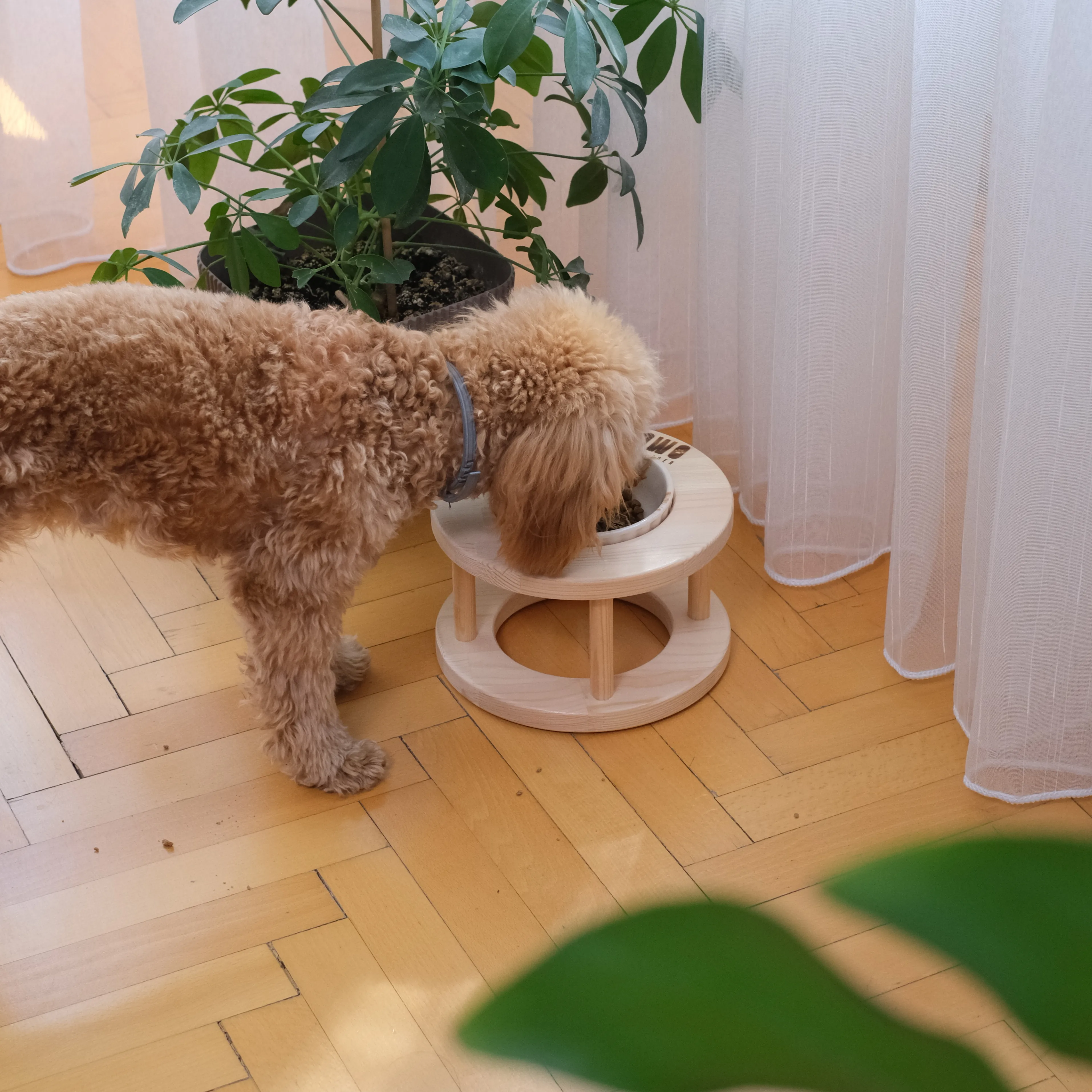 2'li Oval Set | Tekli + İkili Mama Kabı 