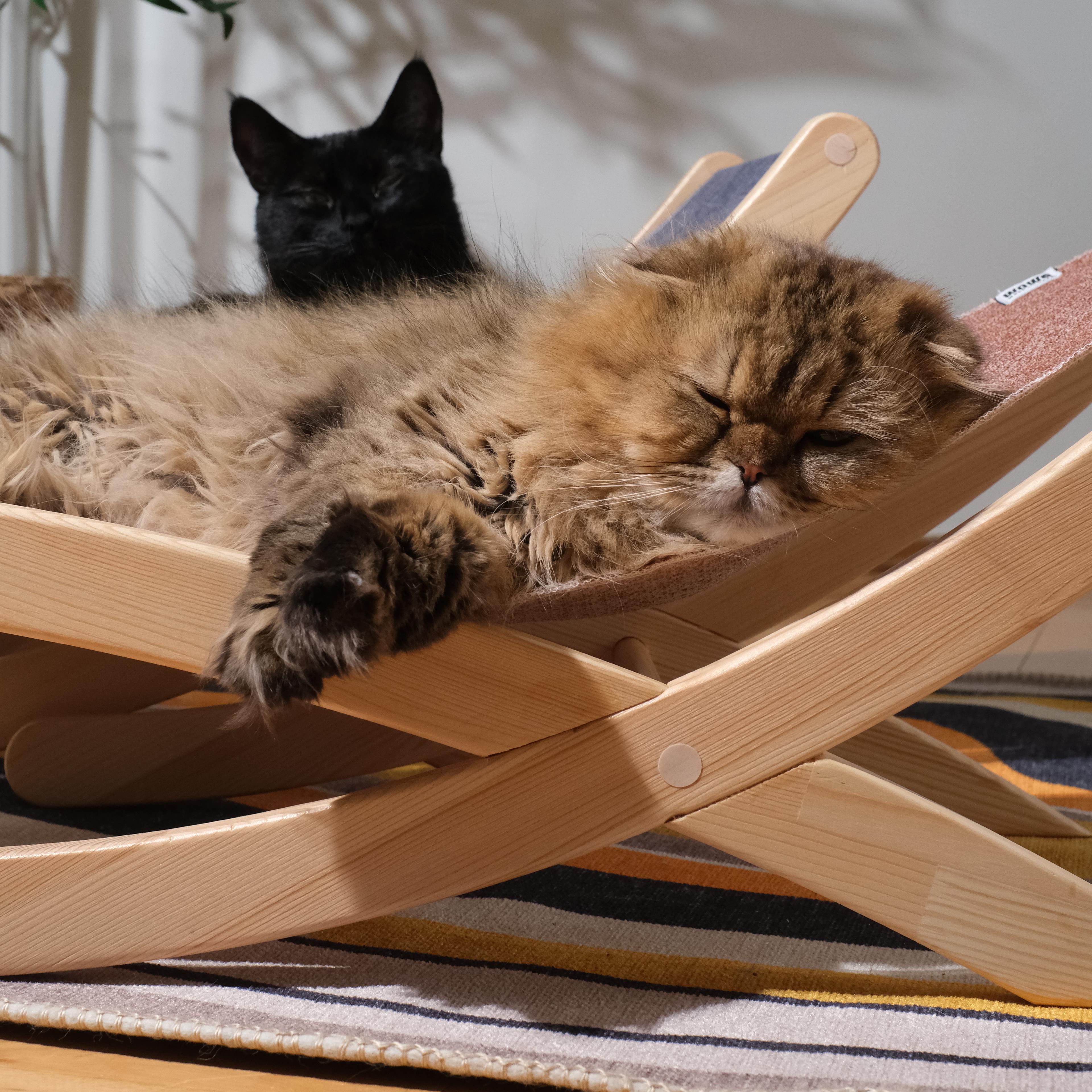 LAYA - Kedi ve Küçük Irk Köpekler için Özel Tasarım Şezlong