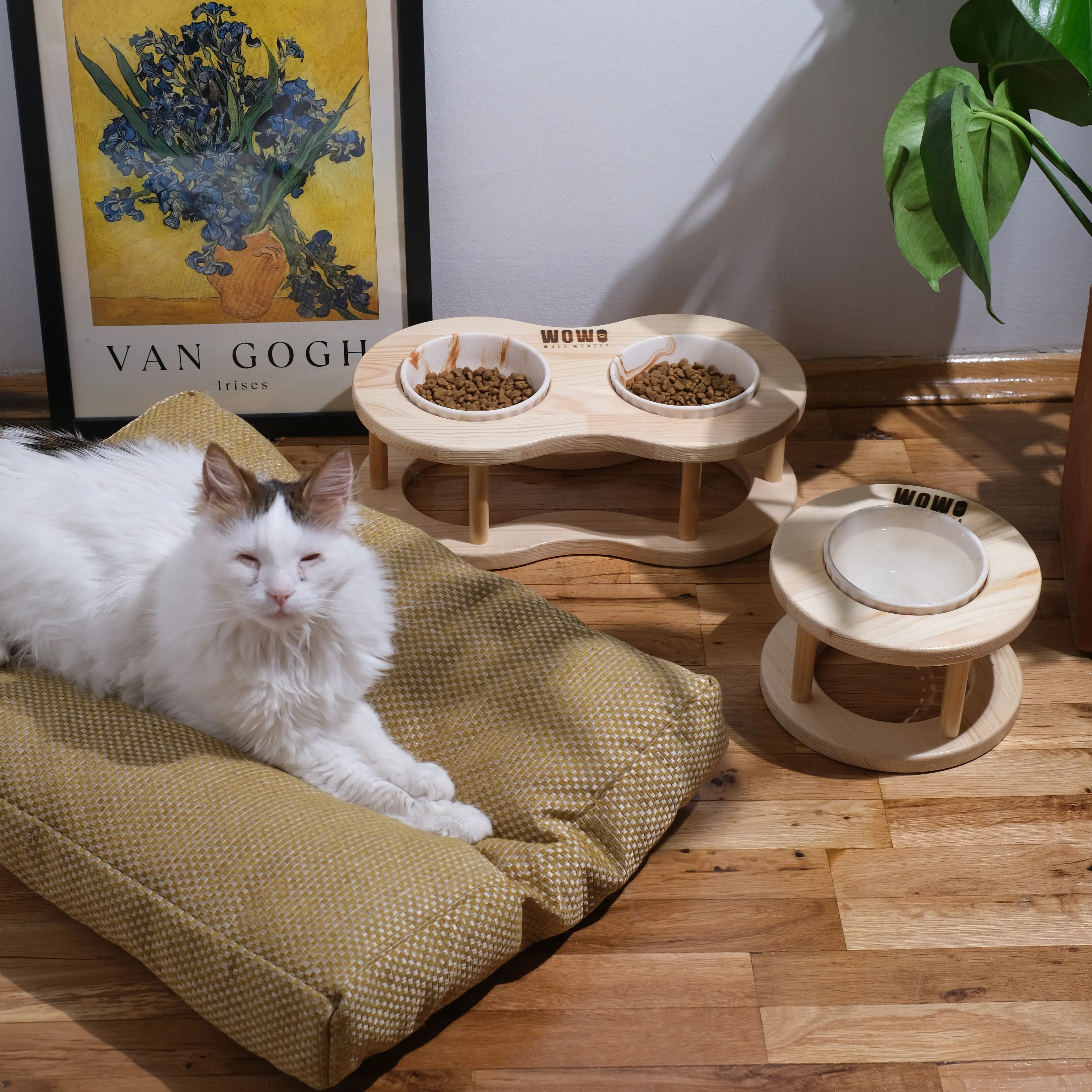 2'li Oval Set | Tekli + İkili Mama Kabı 