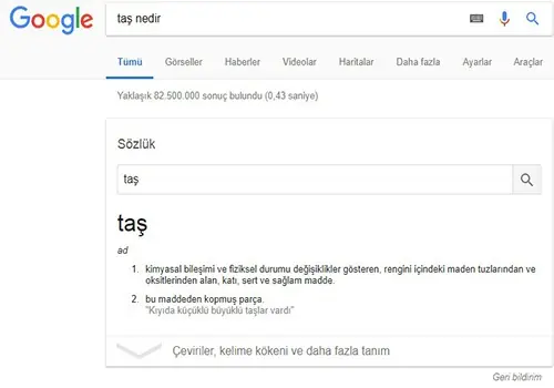 Şekil 2: Google Sözlük 