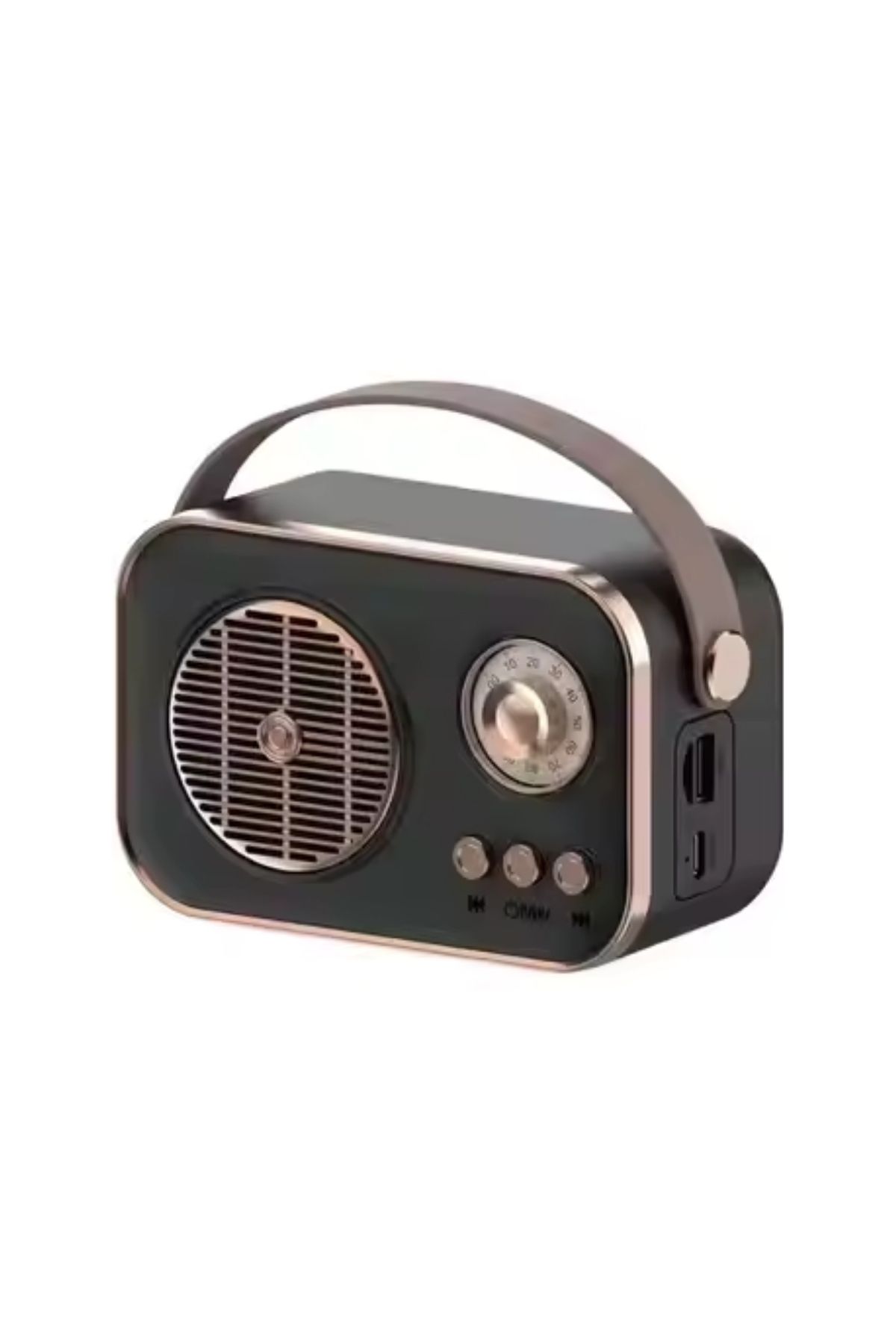 PL-4641 Bluetooth, SD, USB Girişli Bluetooth Destekli Type-C Speaker