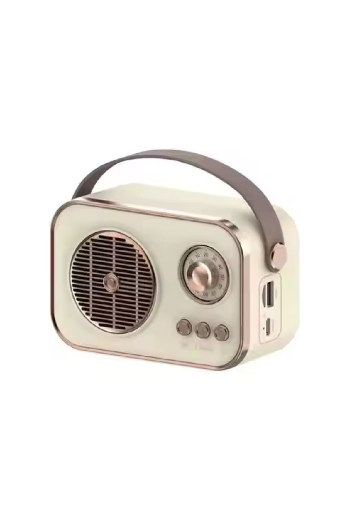 PL-4641 Bluetooth, SD, USB Girişli Bluetooth Destekli Type-C Speaker