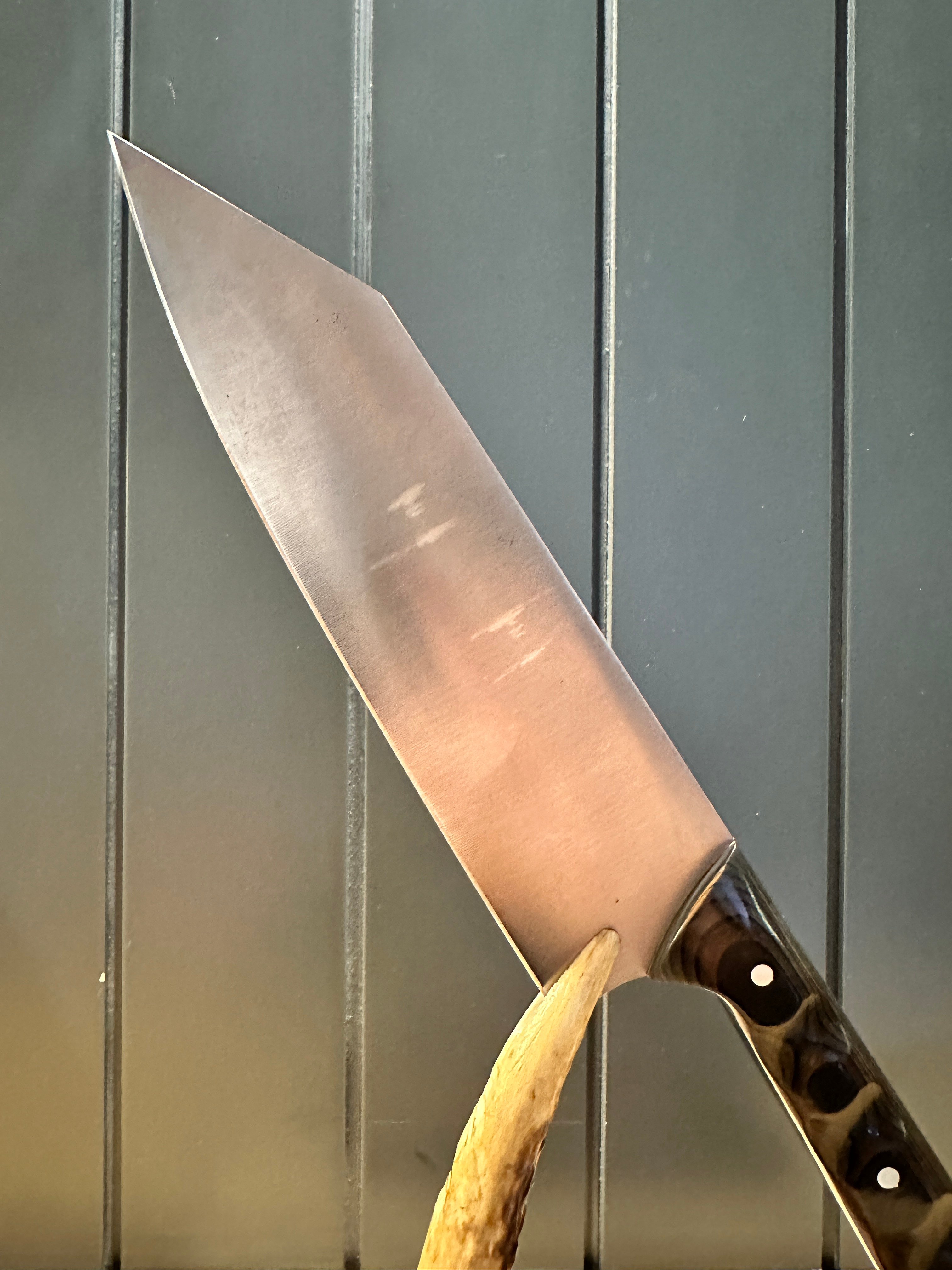 Kiritsuke Şef 