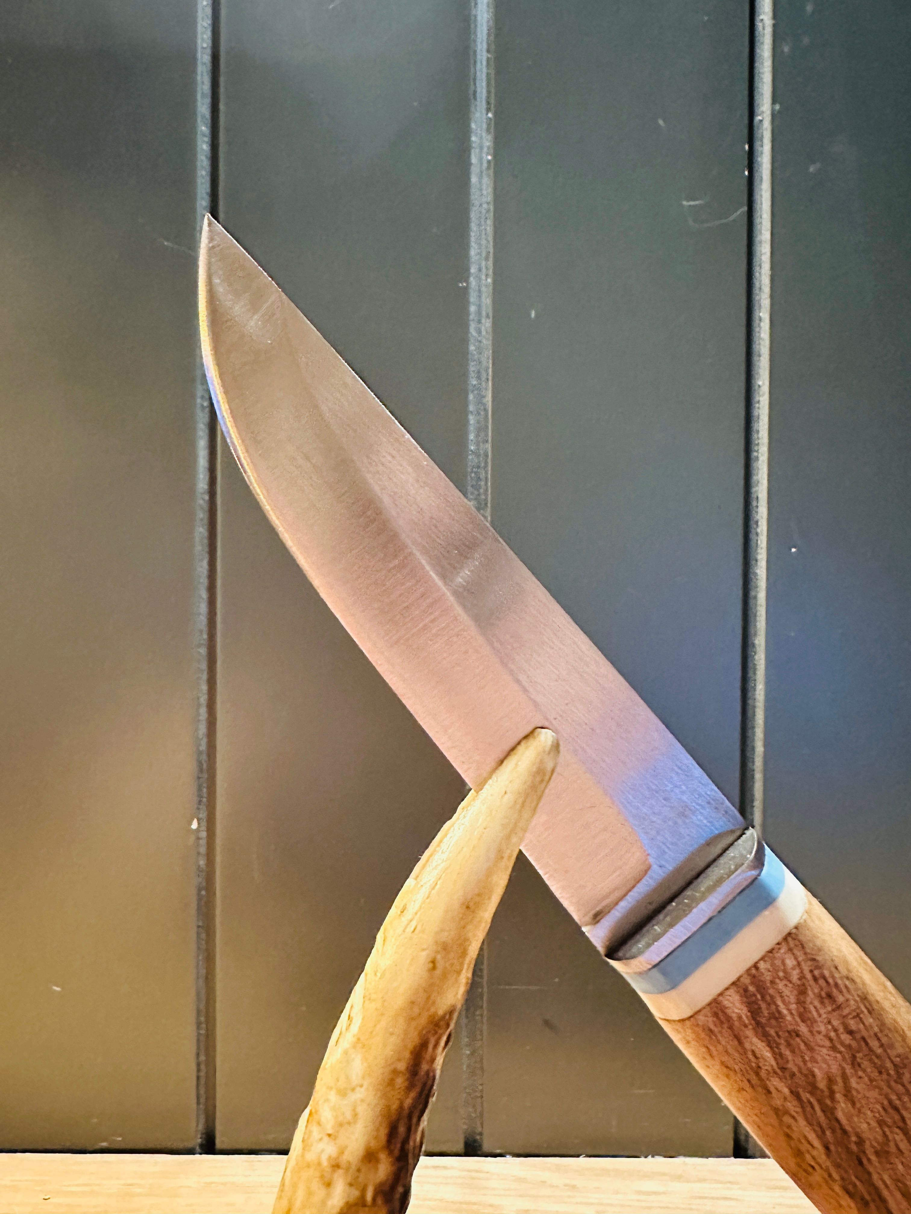 Expedition Knife