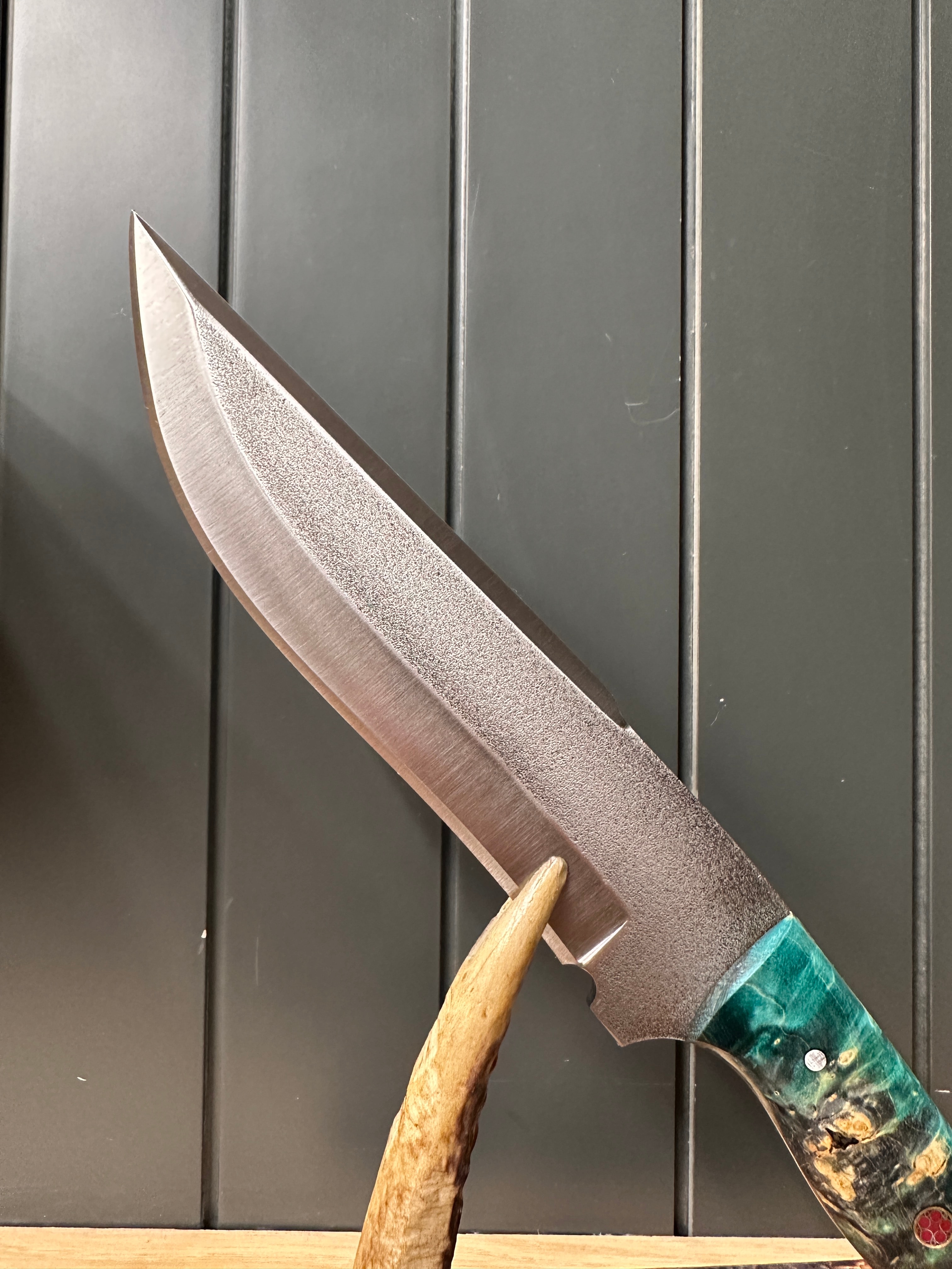 BloodTrail Knife