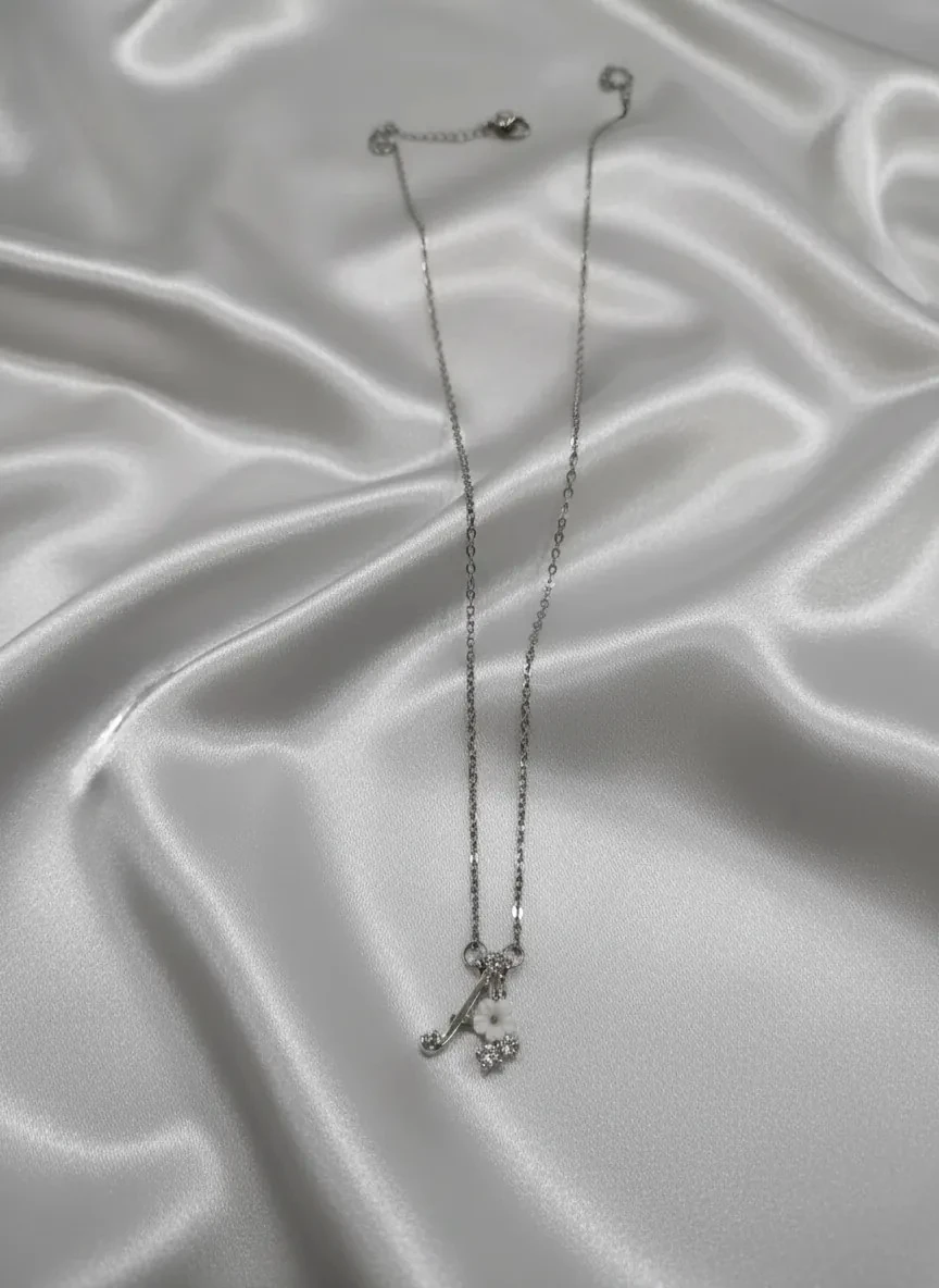 Harfli Zirkon Taşlı Paslanmaz Çelik Gümüş Kolye (Diğer Harfler Mevcuttur)