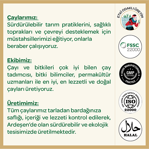 Lazika Piramit Poşet Yeşil Çay-Yasemin Çiçeği-Tarçın Harmanı 37,5gr