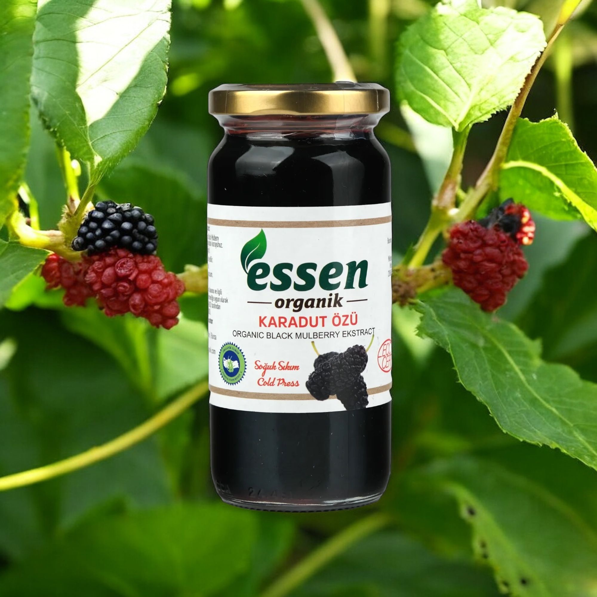 Essen Organik Soğuk Sıkım Karadut Özü 315 Gr