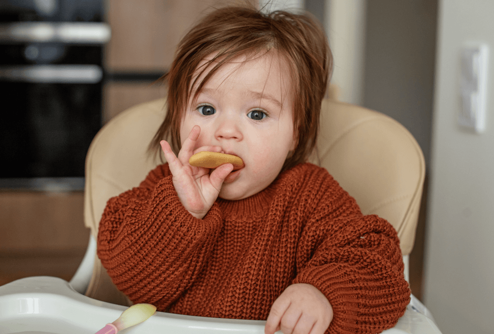 6 Aylık Bebeğe Bebe Bisküvisi Verilir mi? Sağlıklı Beslenme İlkeleri