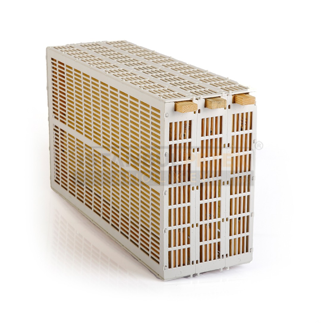 Queen Bee Cage Grid 3 Frames 44.7 * 26.6