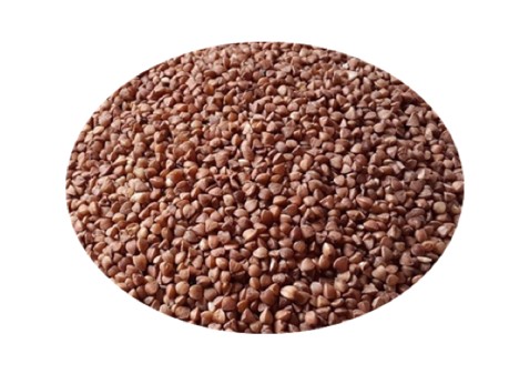 Buckwheat Seed