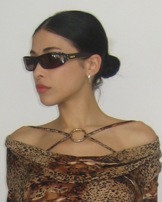 Brown Vintage Sunglasses