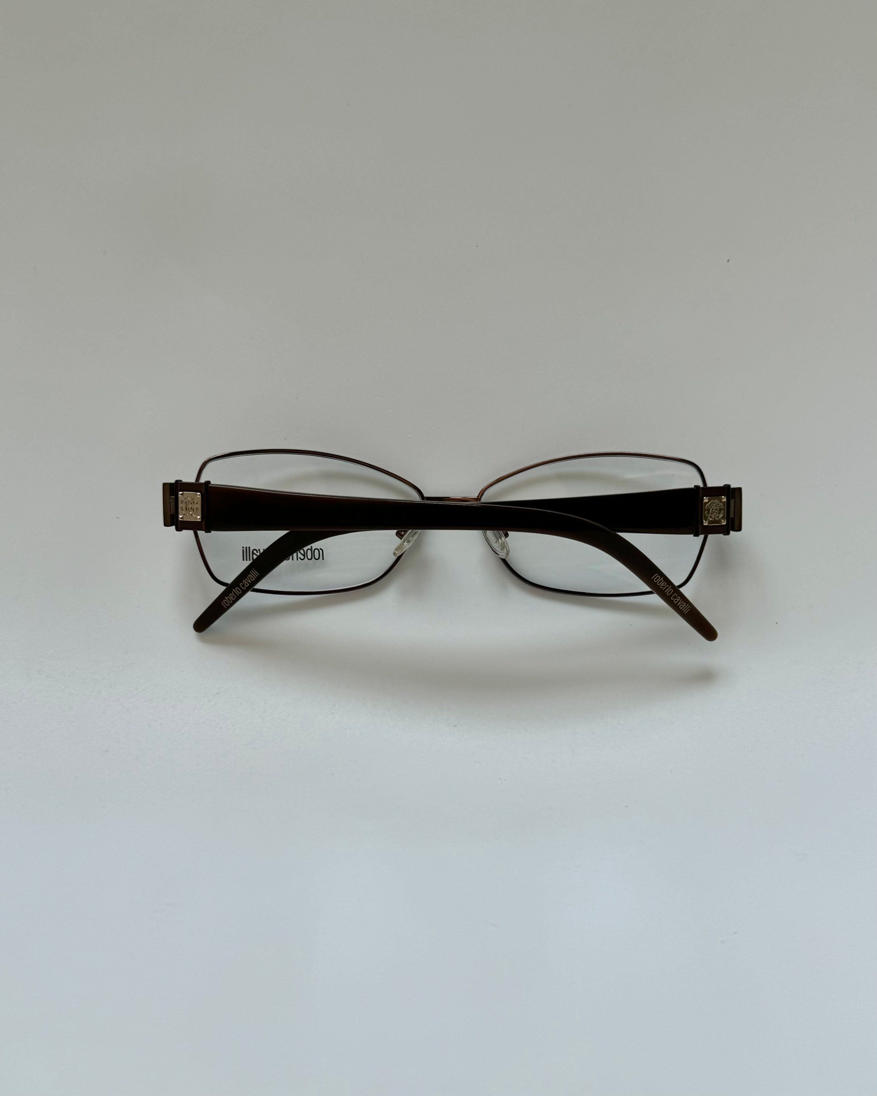 Roberto Cavalli Brown-Blue Vintage Glasses